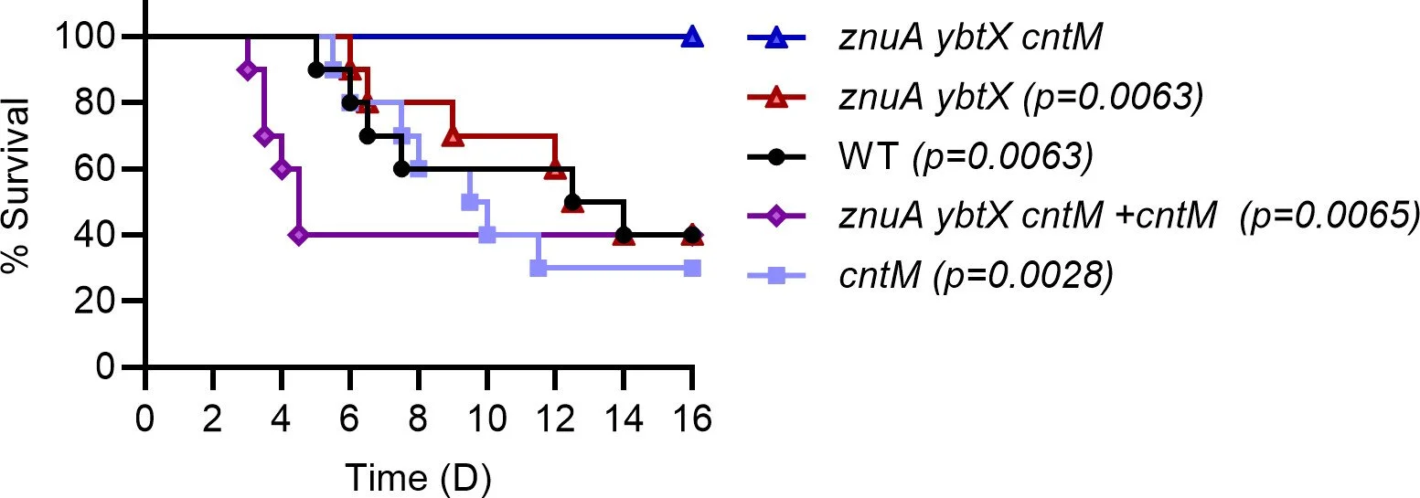 New Paper on Zinc Acquisition in Yersinia