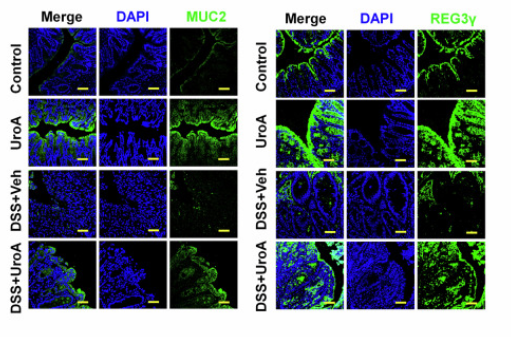 representative figure from this paper