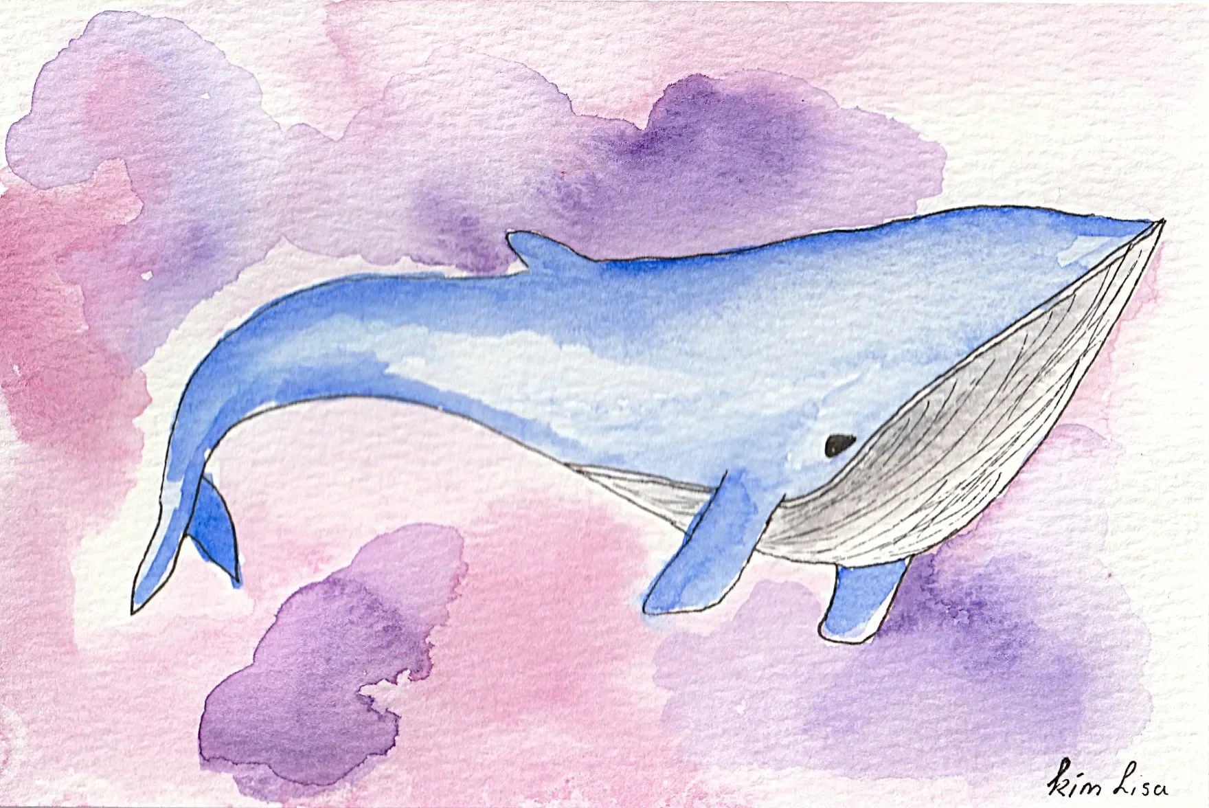 Wat de walvis ons kan leren over de menopauze