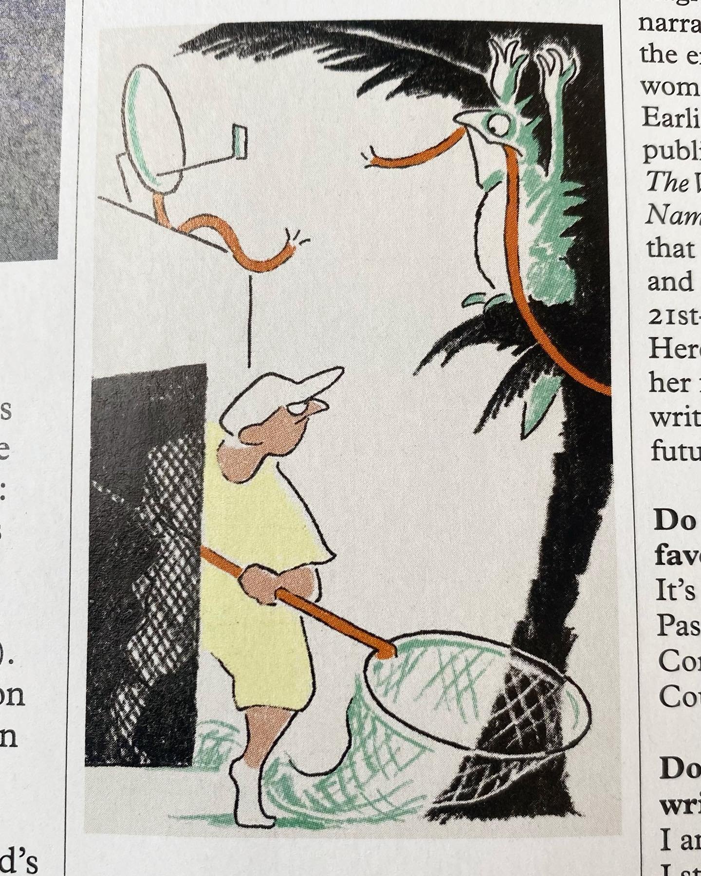 Illustration for Monocle. And my sketches in the second shot 🧐 Iguanas are starting to really irritate the locals in South Florida. A councillor in Key Biscaye &lsquo;had to implore citizens not to shoot iguanas out of trees&rsquo;. Iguanas are a le