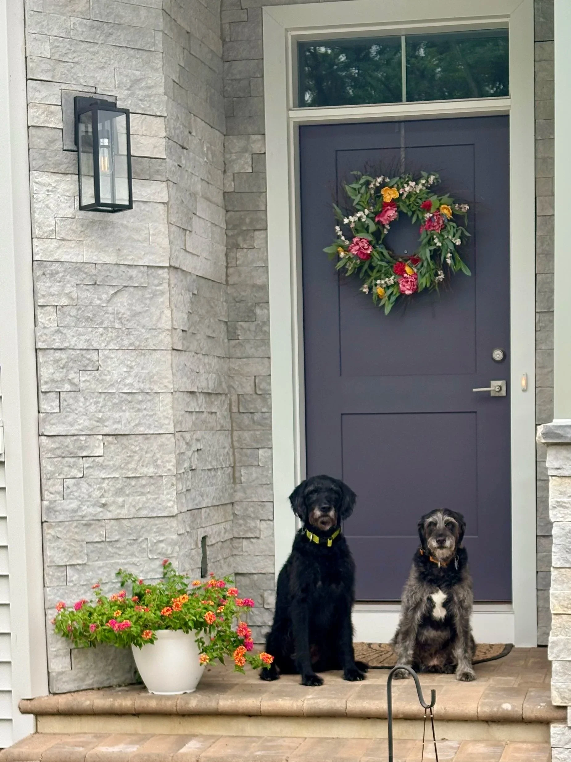 PE+42+Stuckey+pups.jpg