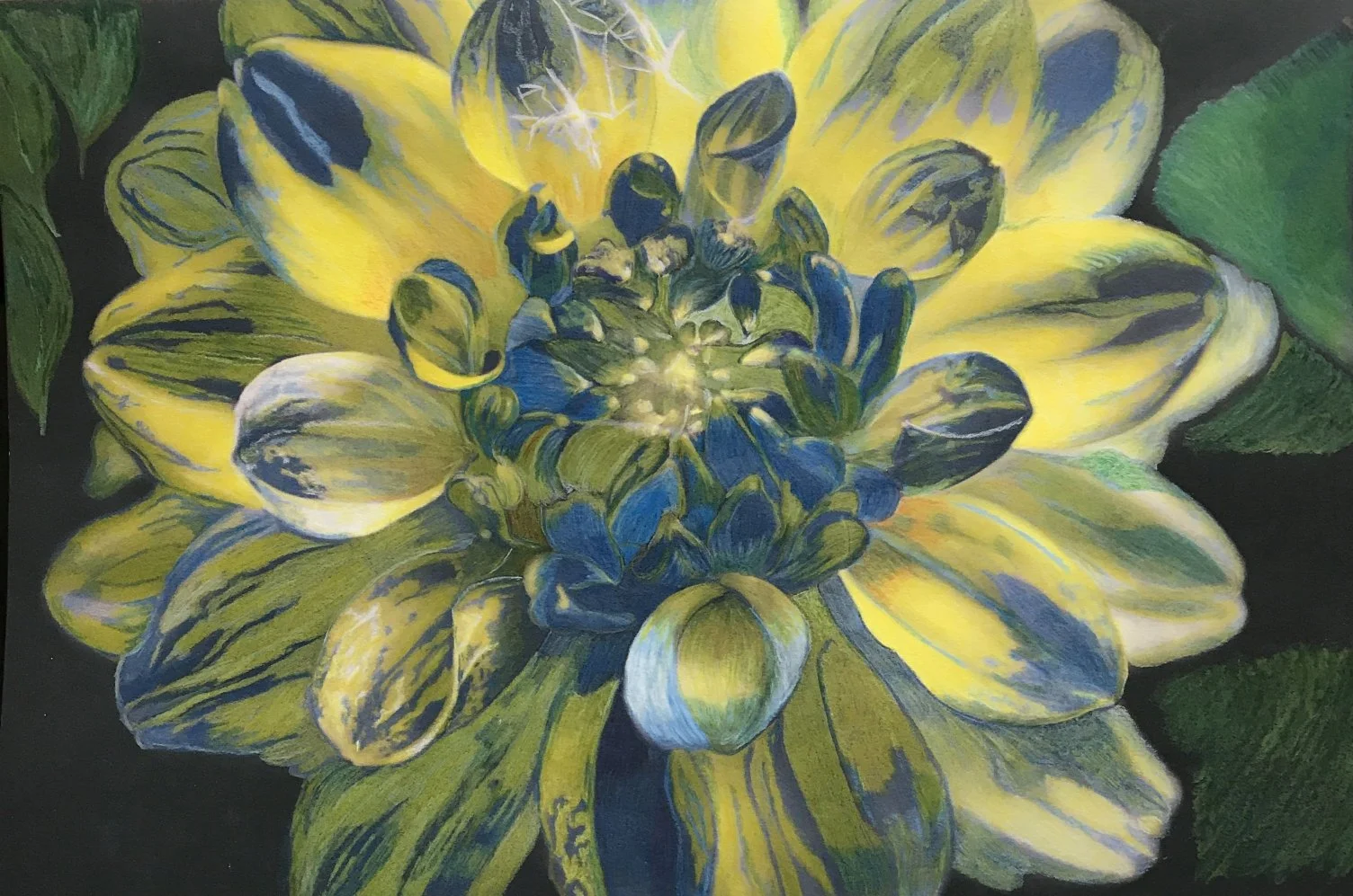 Blue Bloom