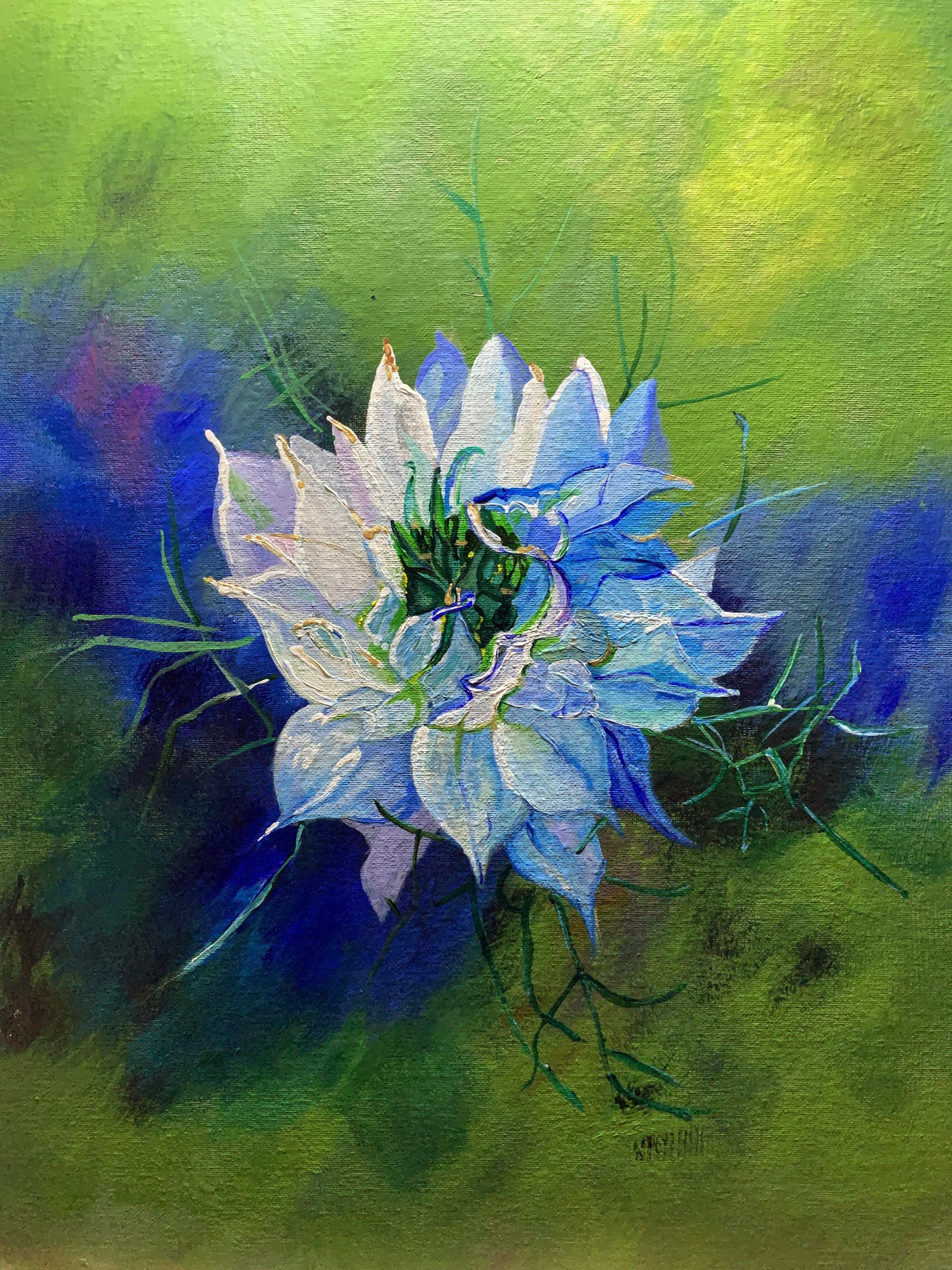 Nigella (Love in the Mist)