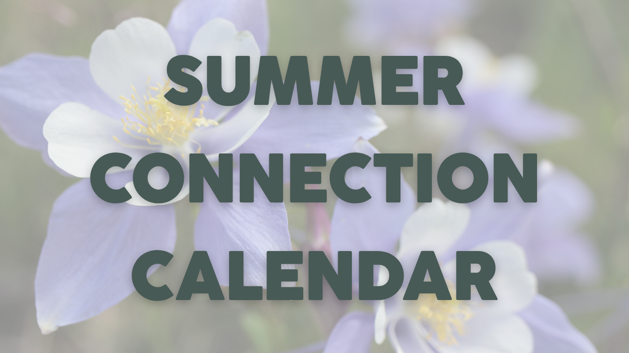 Summer Connection Calendar