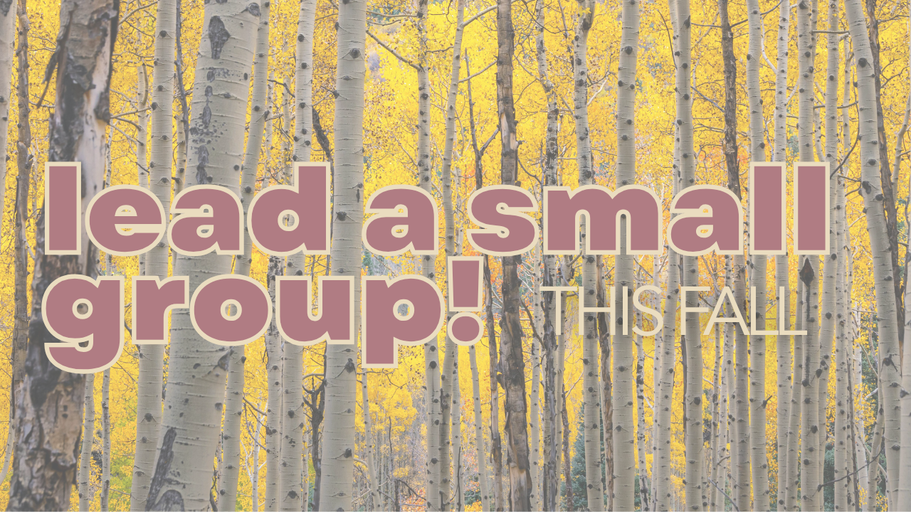 Small Group Leader Interest Meeting