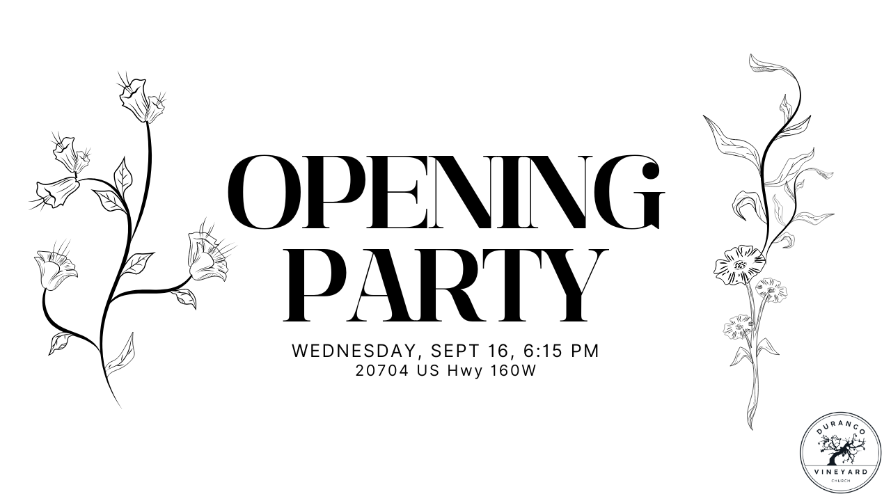 Opening Party