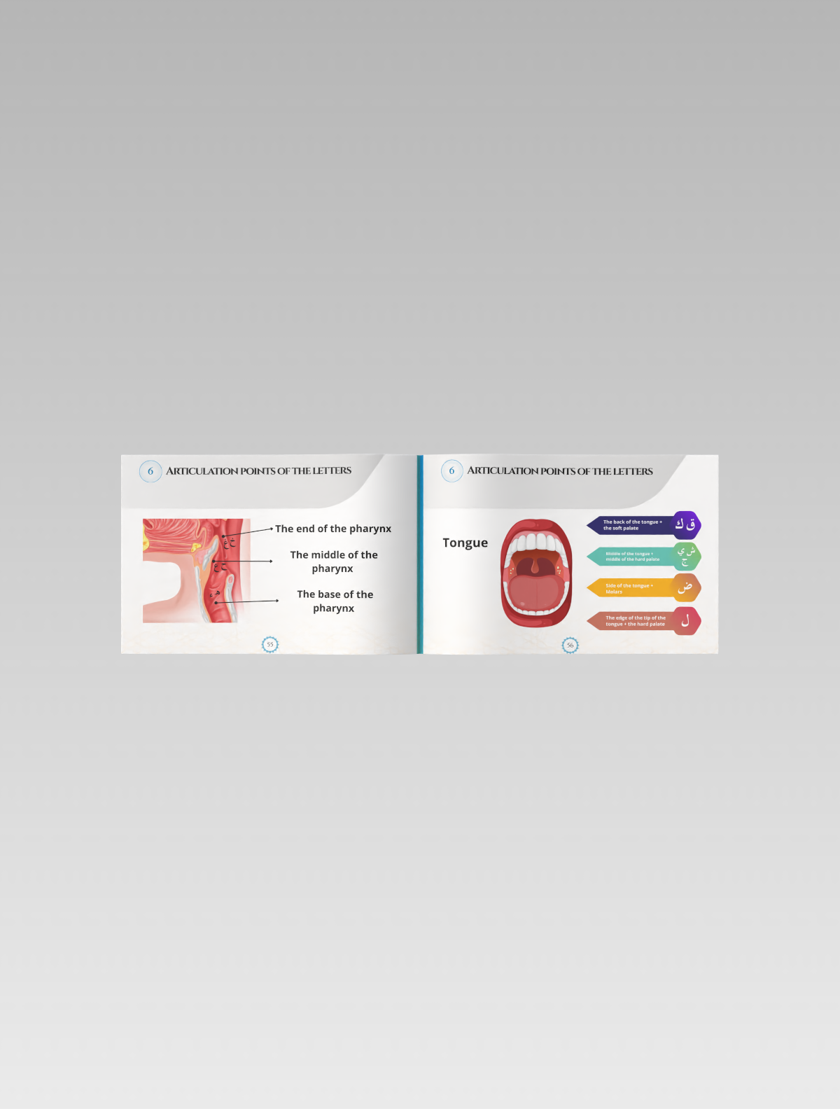 Render_Mockup_1200_1600_2026-05-22 (4).png