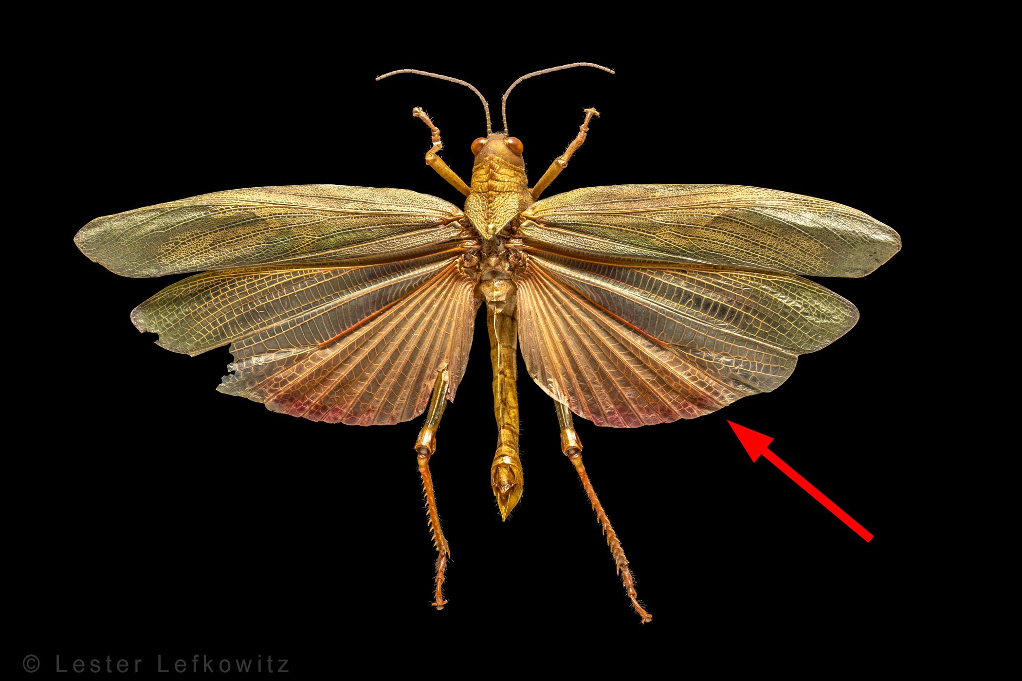9920-422.jpg