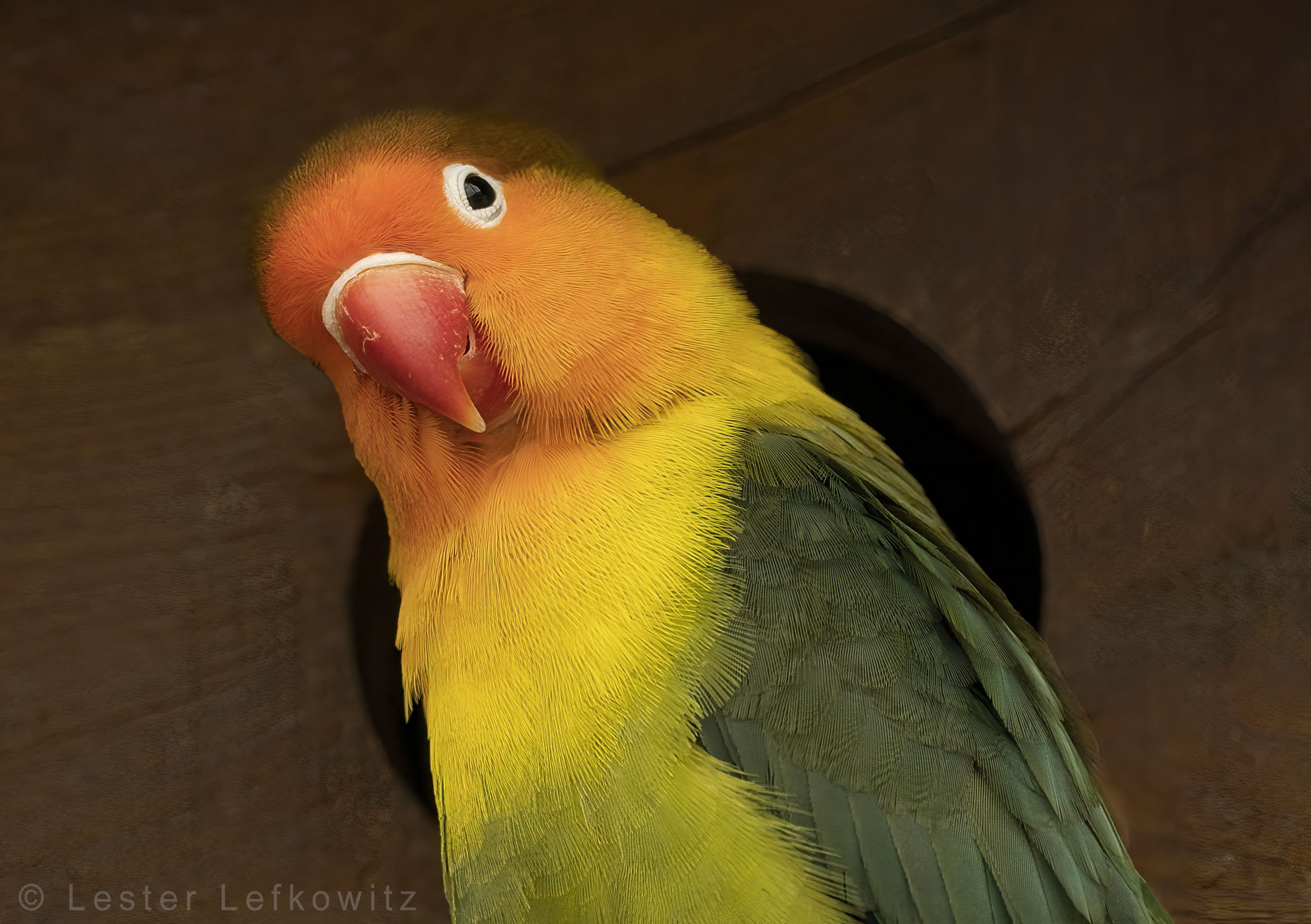9778-154-SharpenAI-focus.jpg