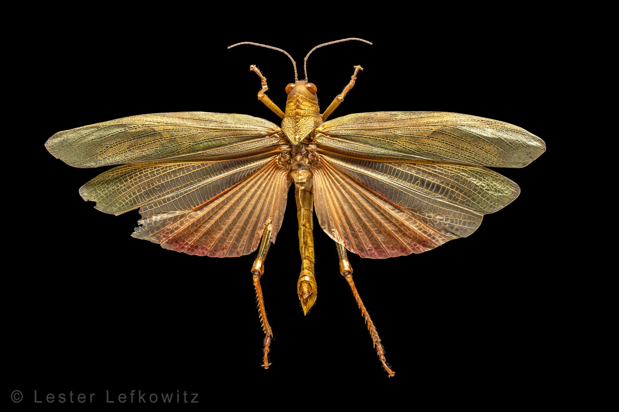 9920-422.jpg