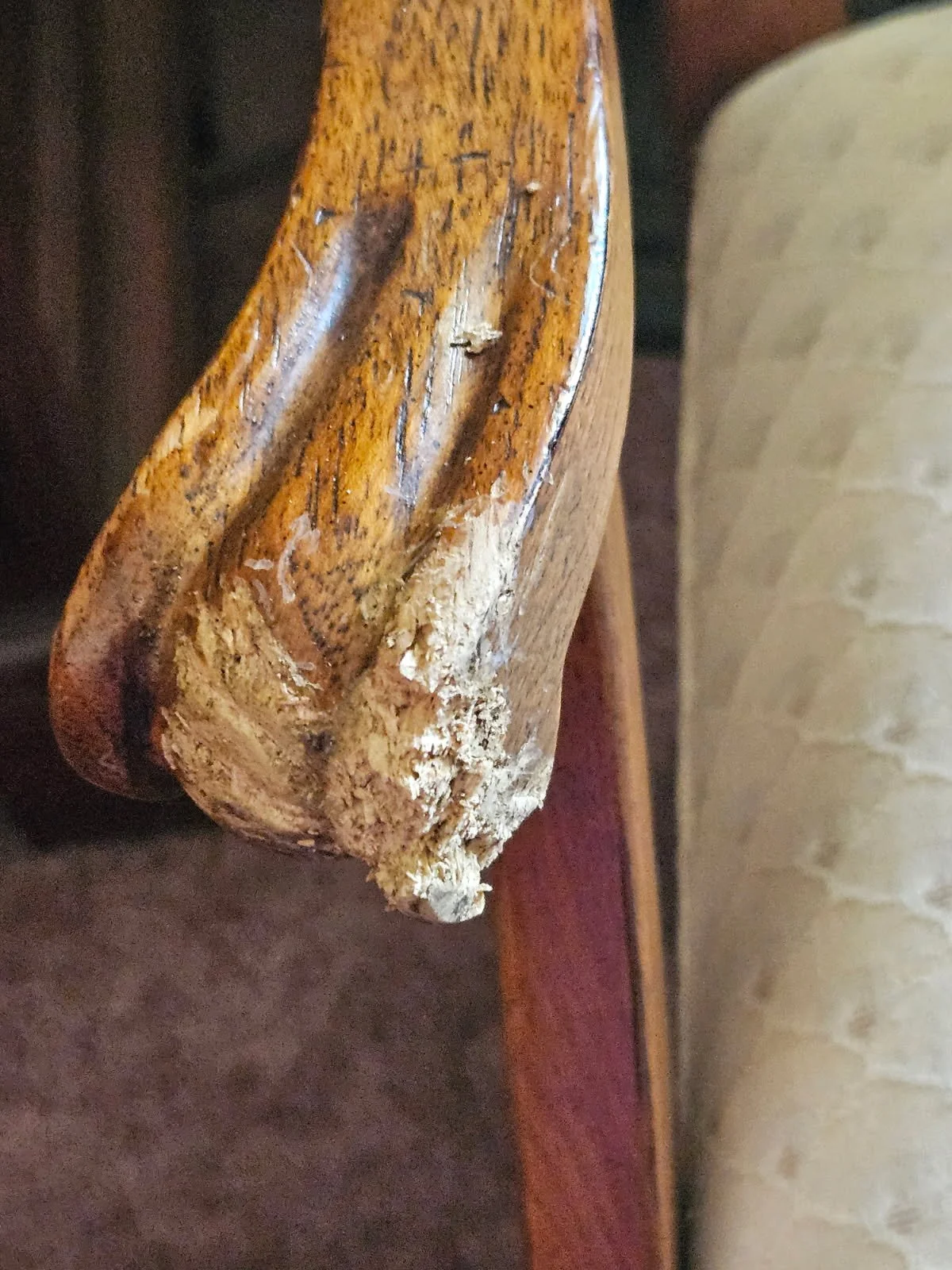 Dog Chewed Chair 1.JPG