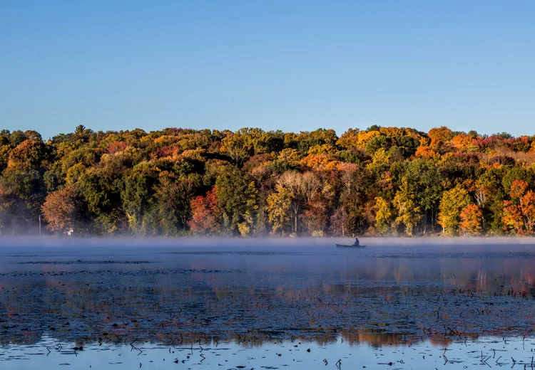 Donate — Friends of Great Hill Pond