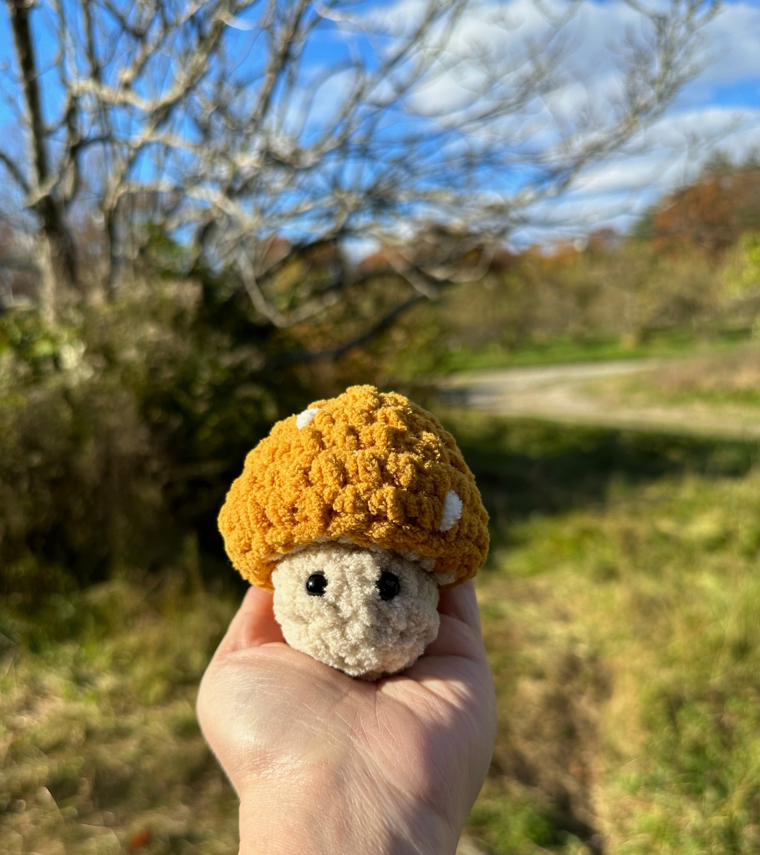Mushroom Pop-Up Fidget Toy