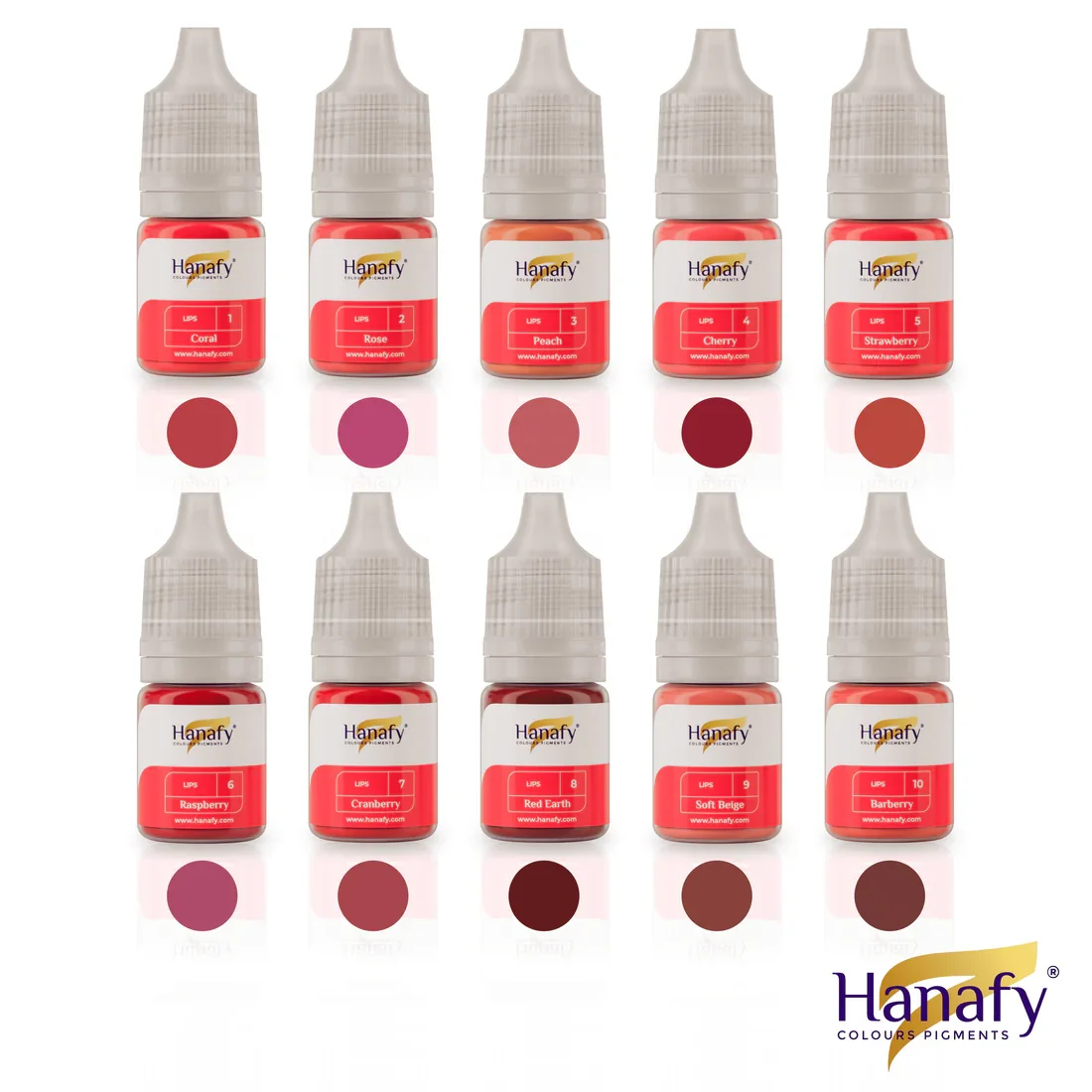 Hanafy Lip Pigments Full Set