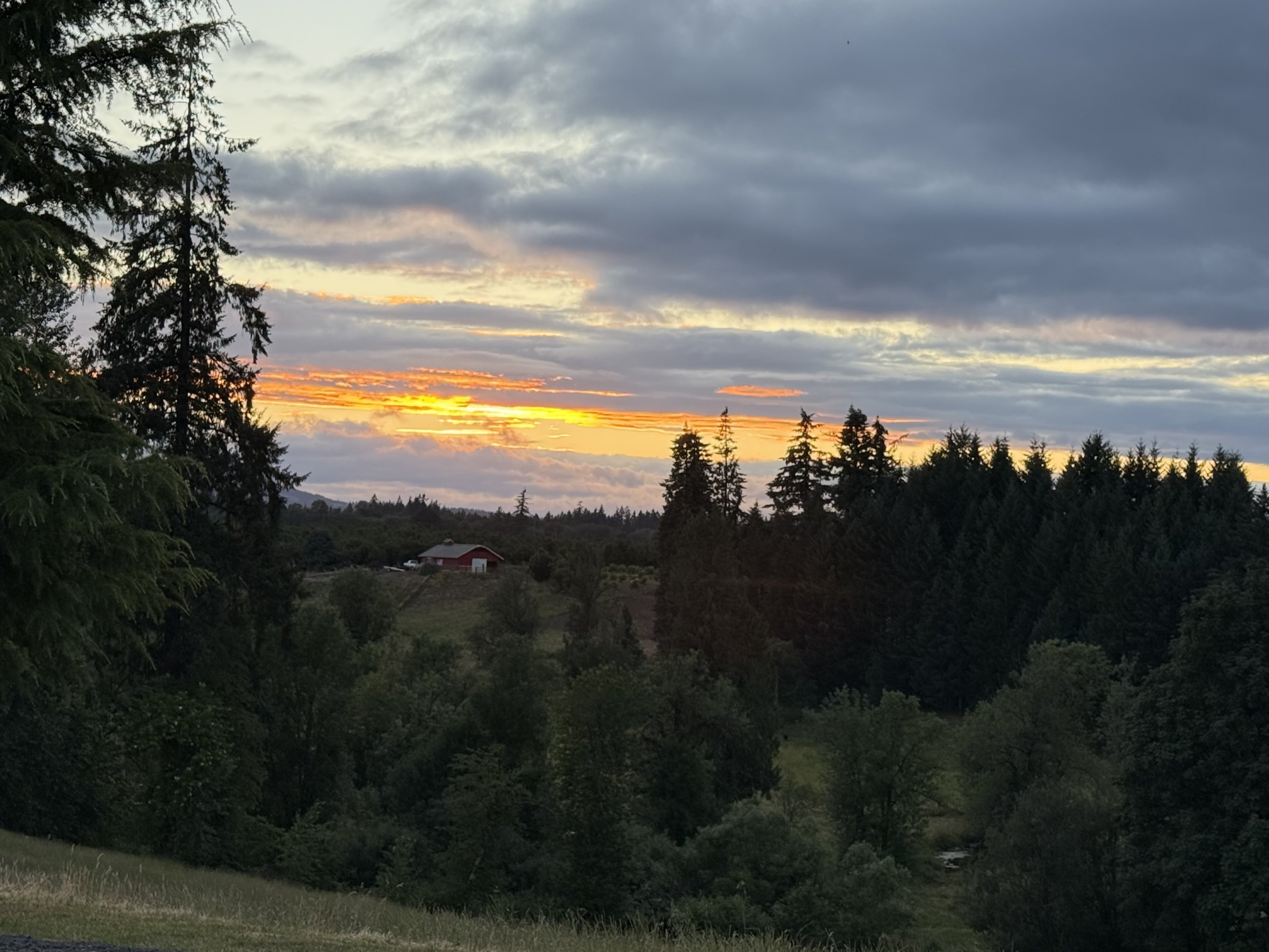 IMG_0976.jpeg