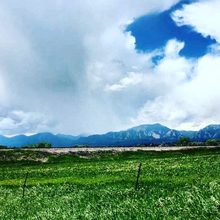 A vast green field with a fence in the foreground, a mountain range in the distance, and a partly cloudy sky with some blue sky visible.