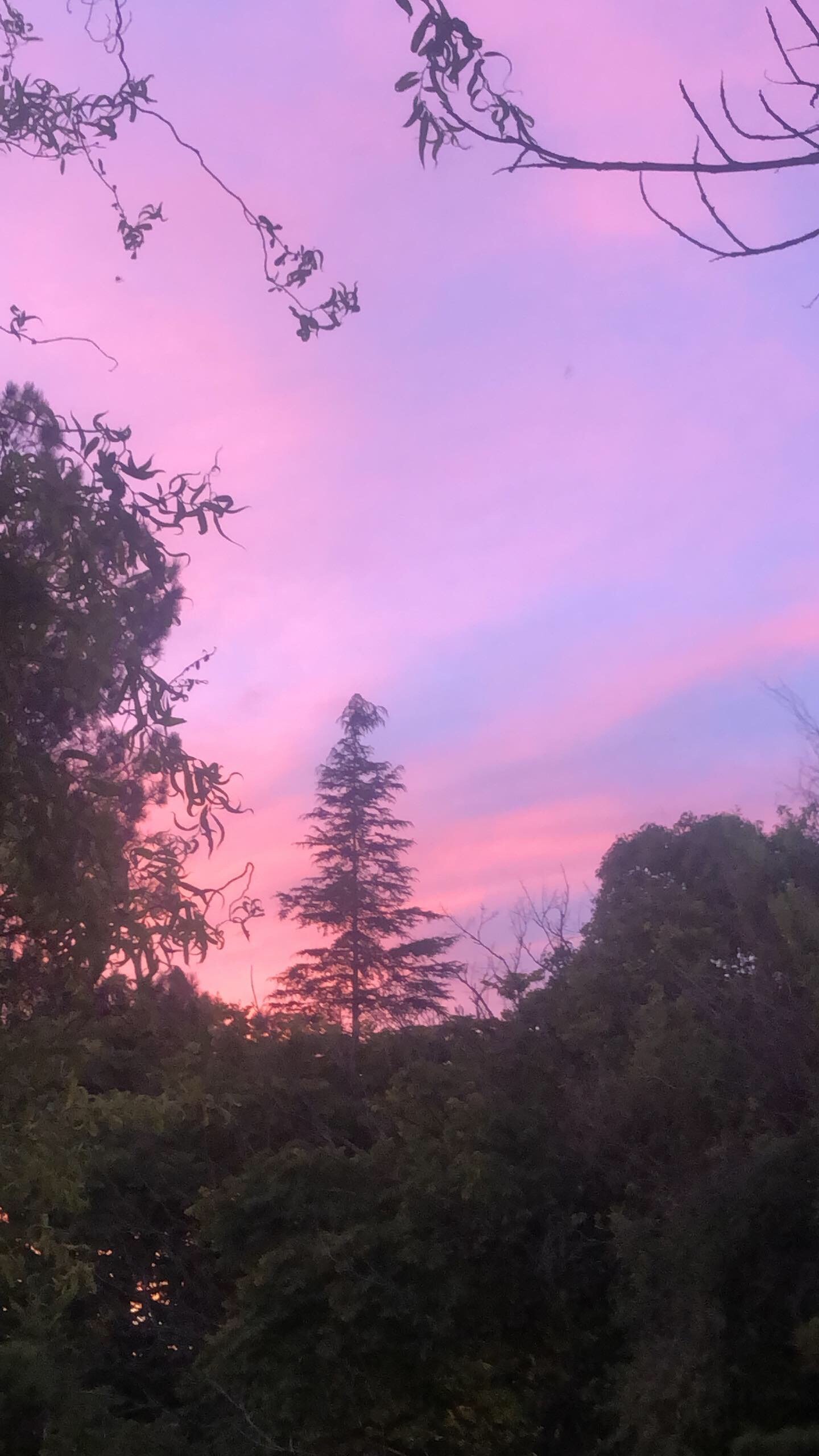 The War Within: Anxiety &amp; OCD in High-Functioning Adults