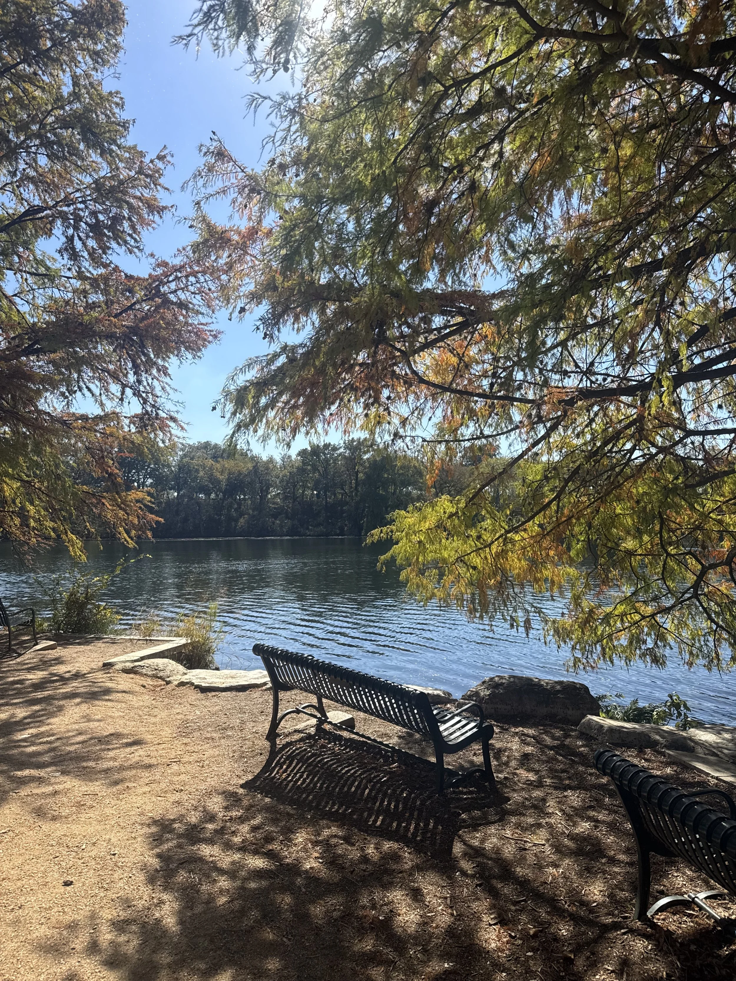 Echoes of the Heart: The Shape You Learned to Hold