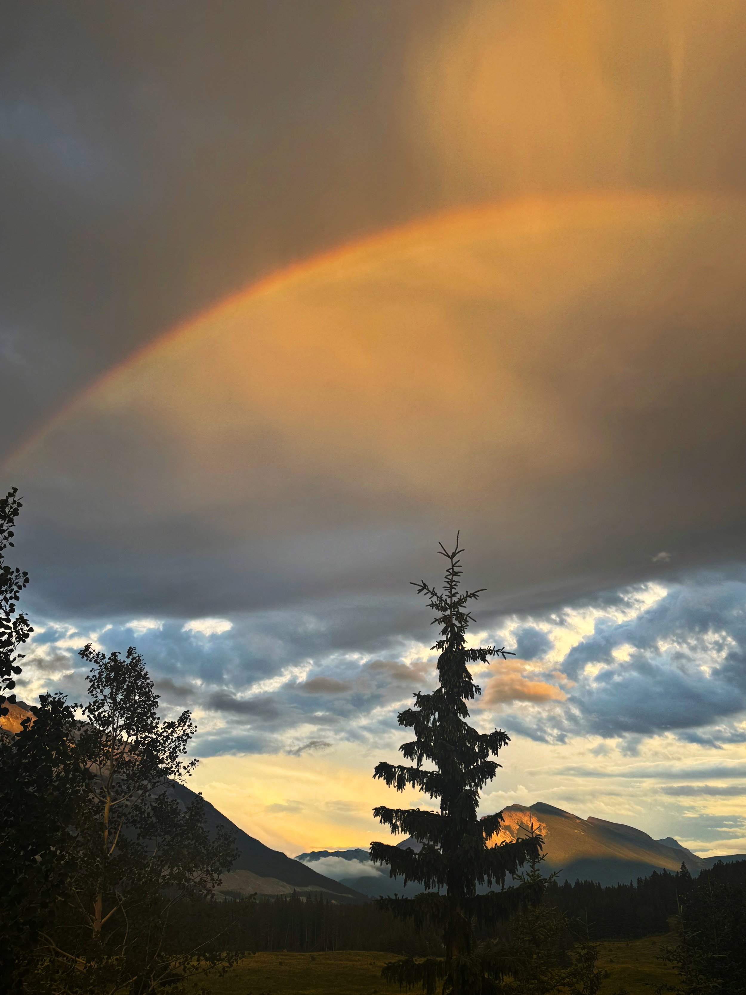 One-Way Glass: Finding the Self We Couldn't See Alone