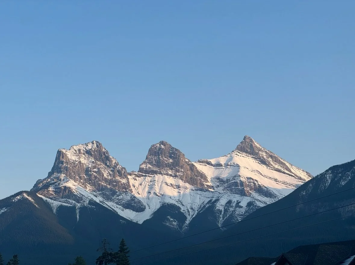 On Substances and Shadows