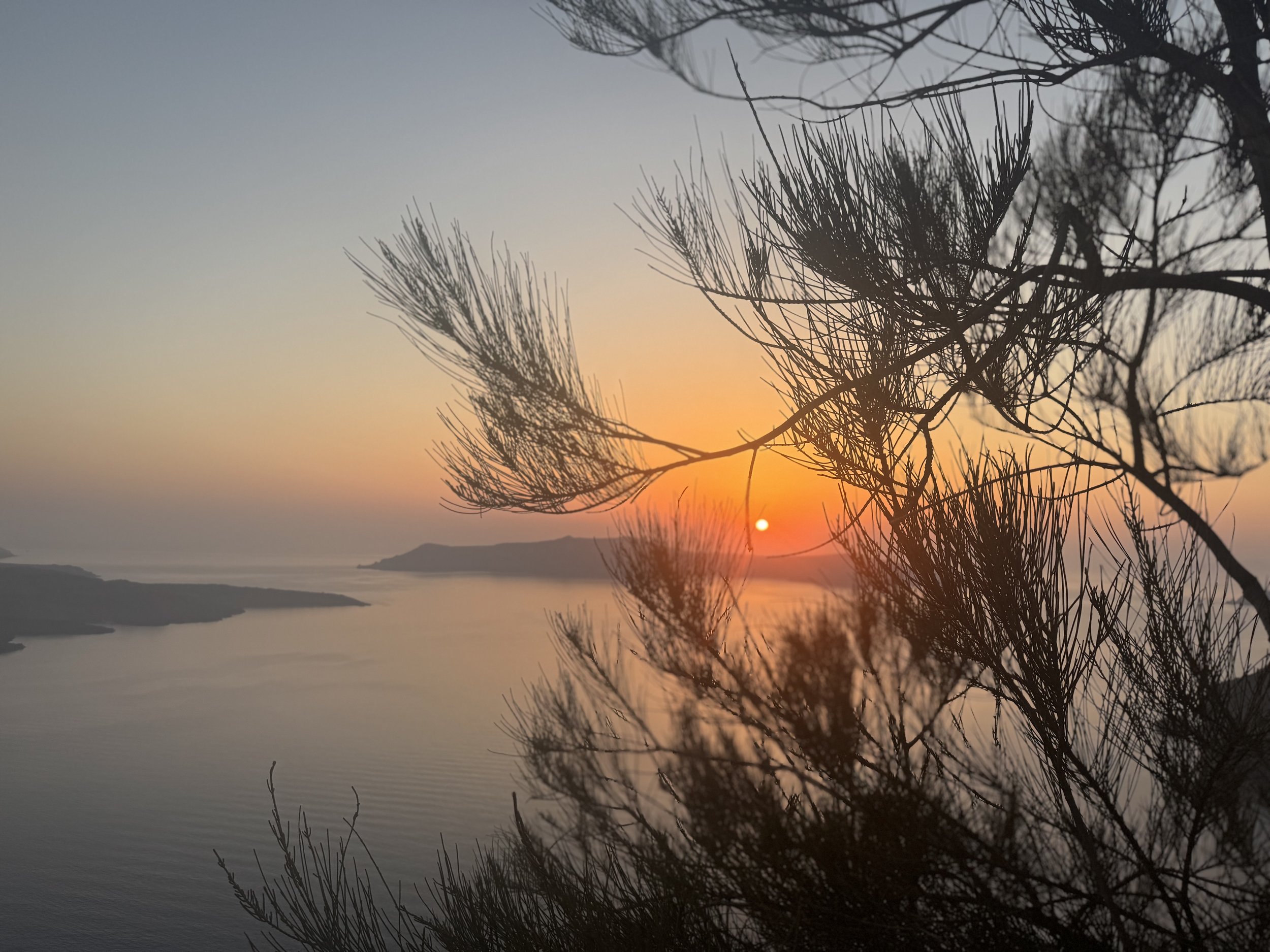 Echoes of the Heart: The Shape You Learned to Hold