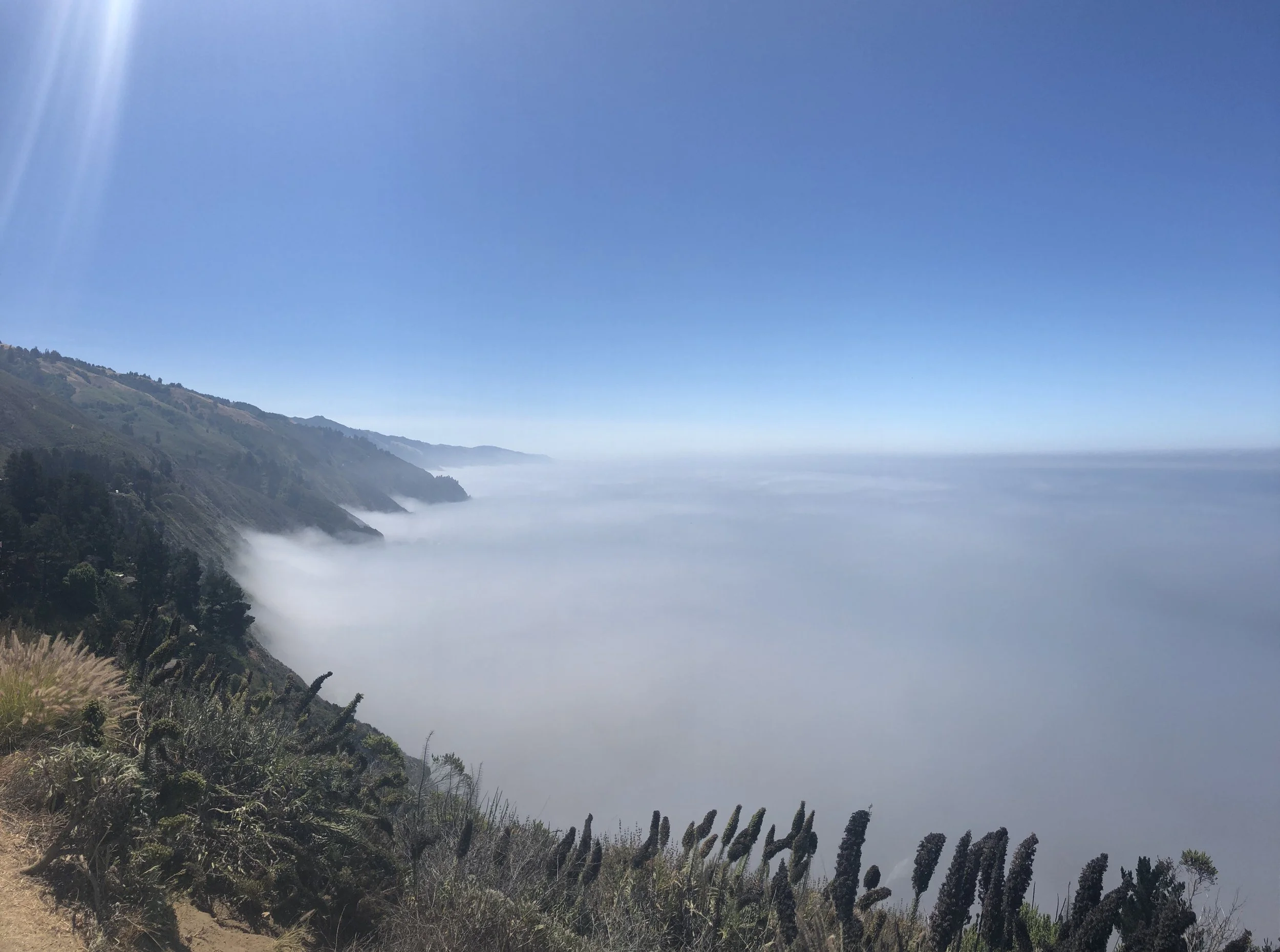 Coastal landscape with a clear blue sky, mountain cliffs on the left, and a foggy coastline fading into the distance, with plants in the foreground.