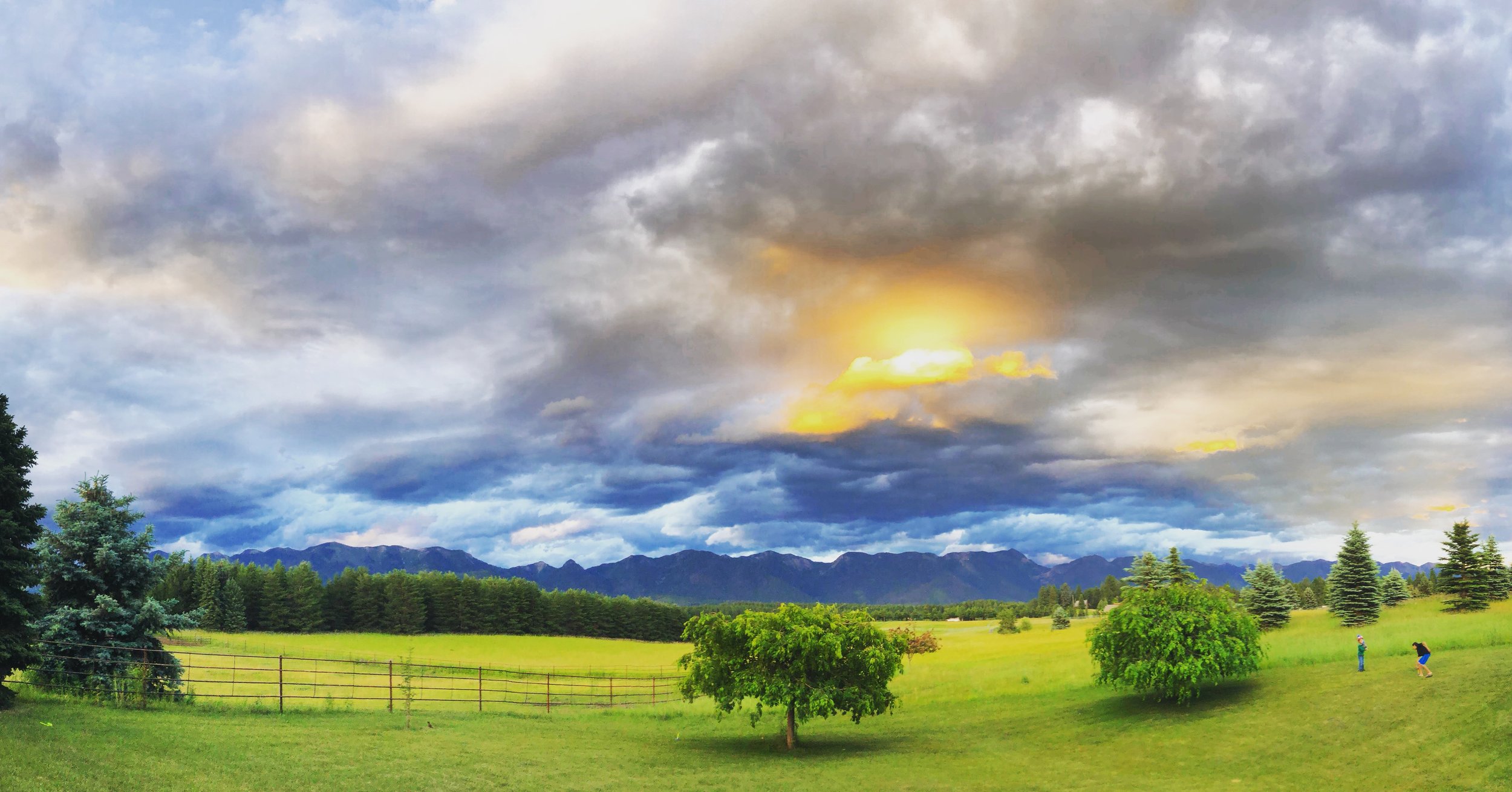 A landscape with a grassy field, scattered trees, a wooden fence, distant mountains, and a cloudy sky with patches of sunlight