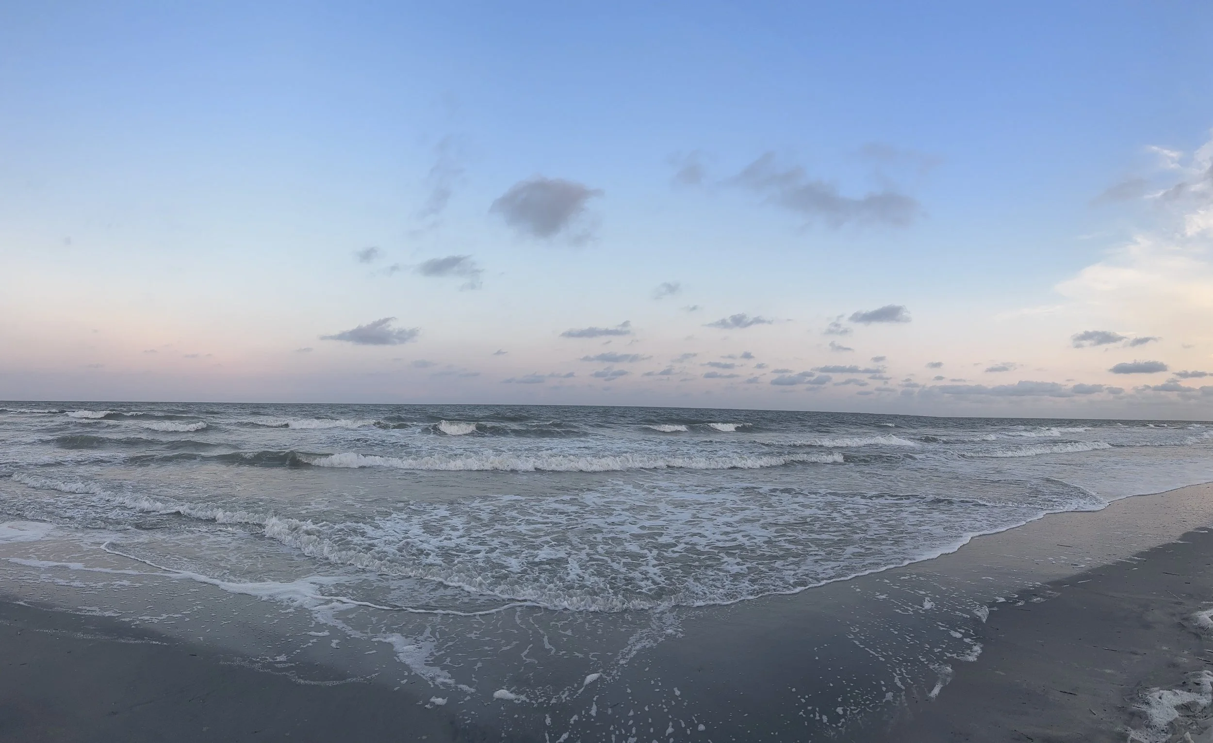 IMG_9831.jpeg