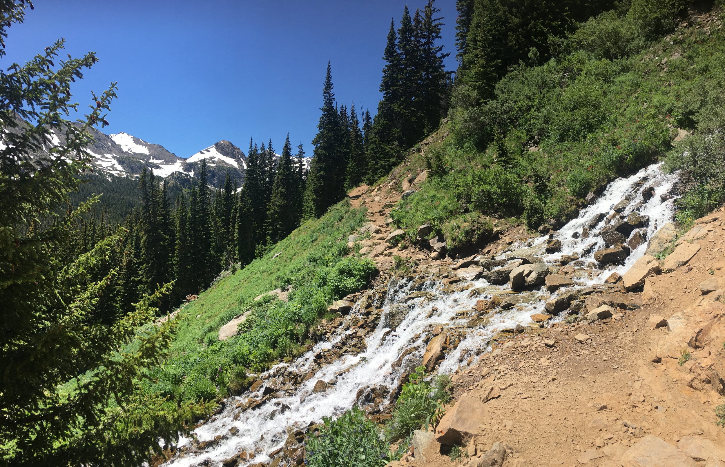 A mountain stream flowing down a green, rocky hillside with snow-capped mountains and evergreen trees in the background under a blue sky.