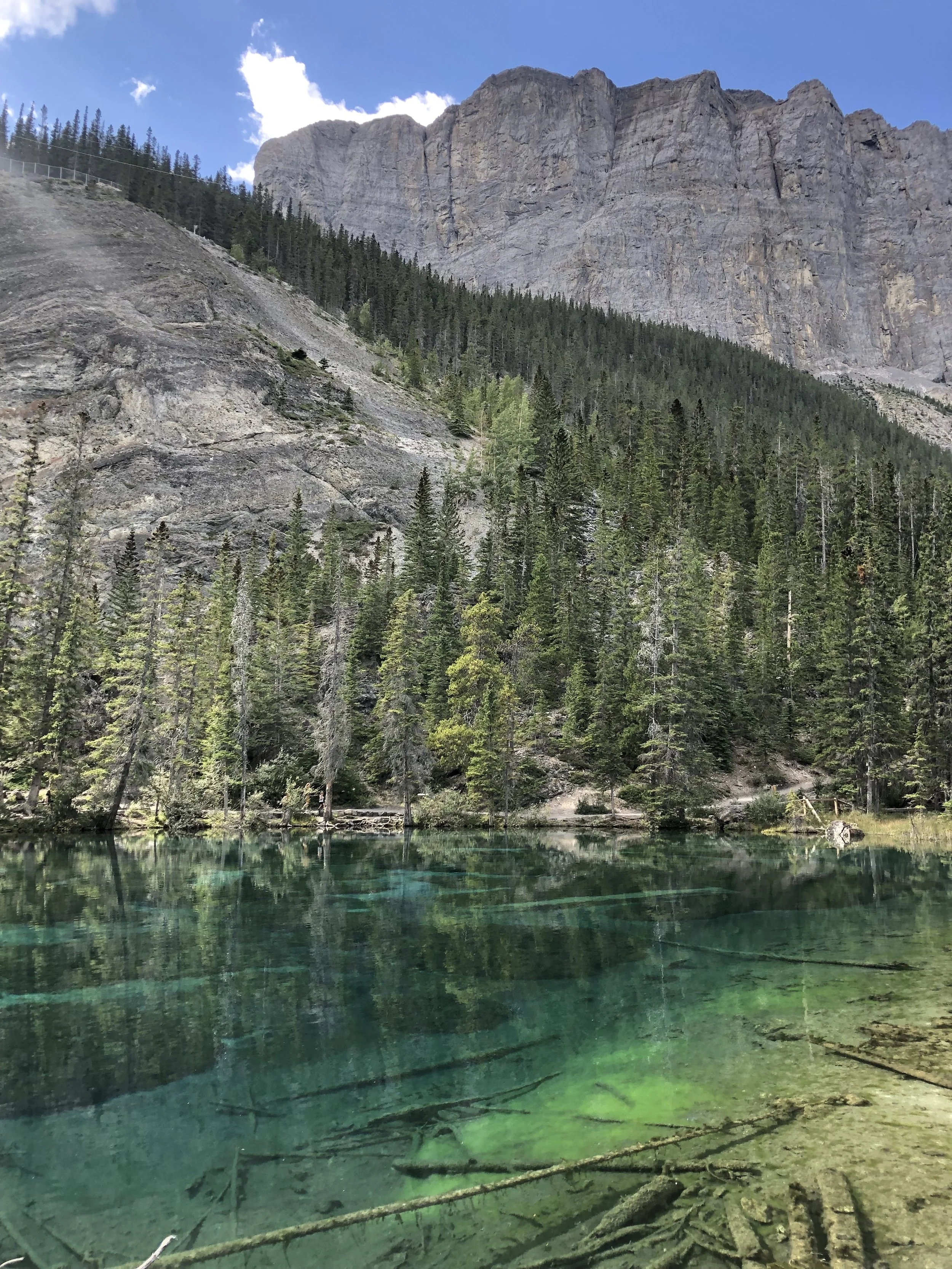 Scenic view of a mountain lake surrounded by dense green pine trees, with steep rocky mountains in the background under a blue sky.