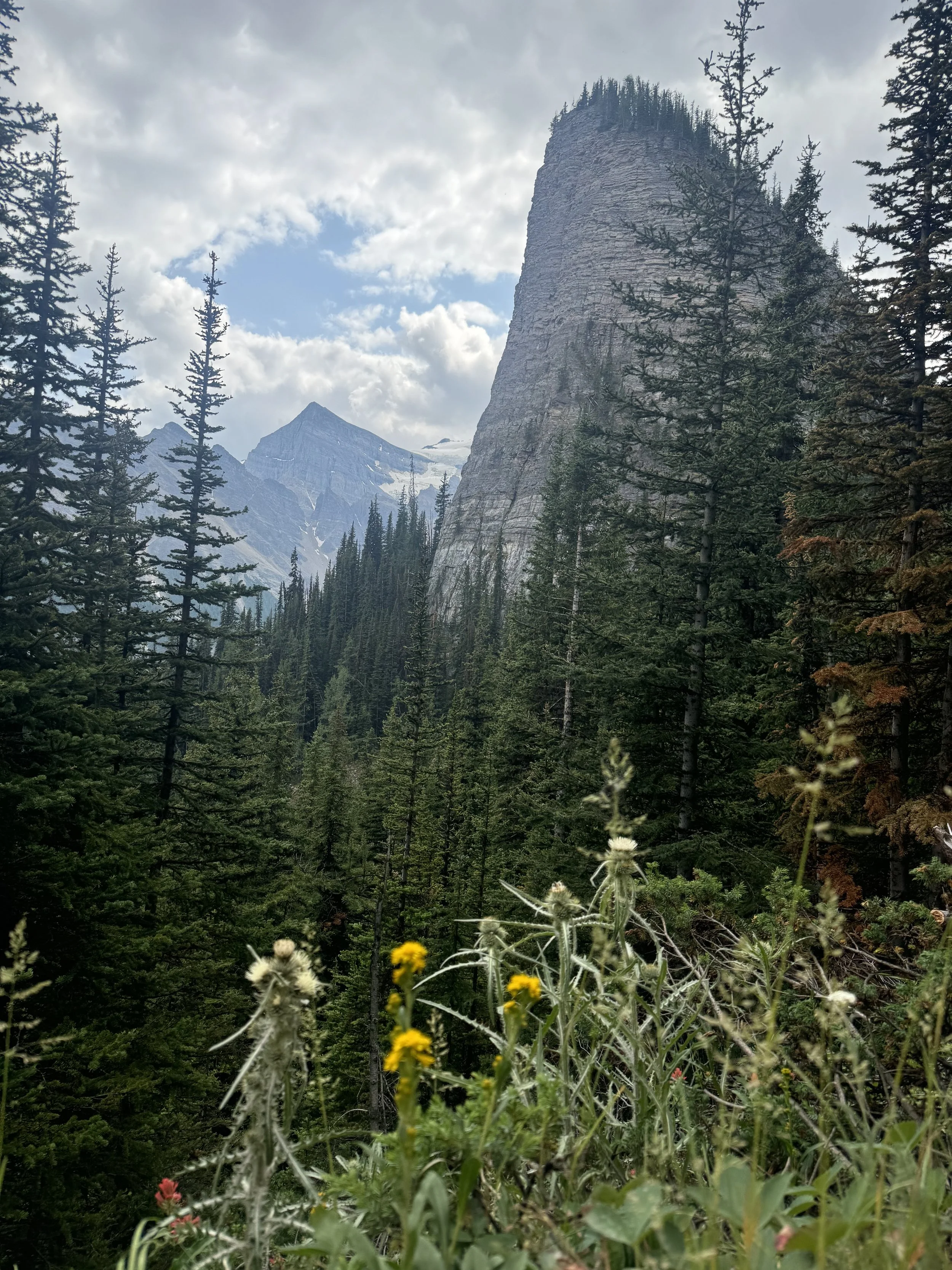 IMG_2164.jpeg