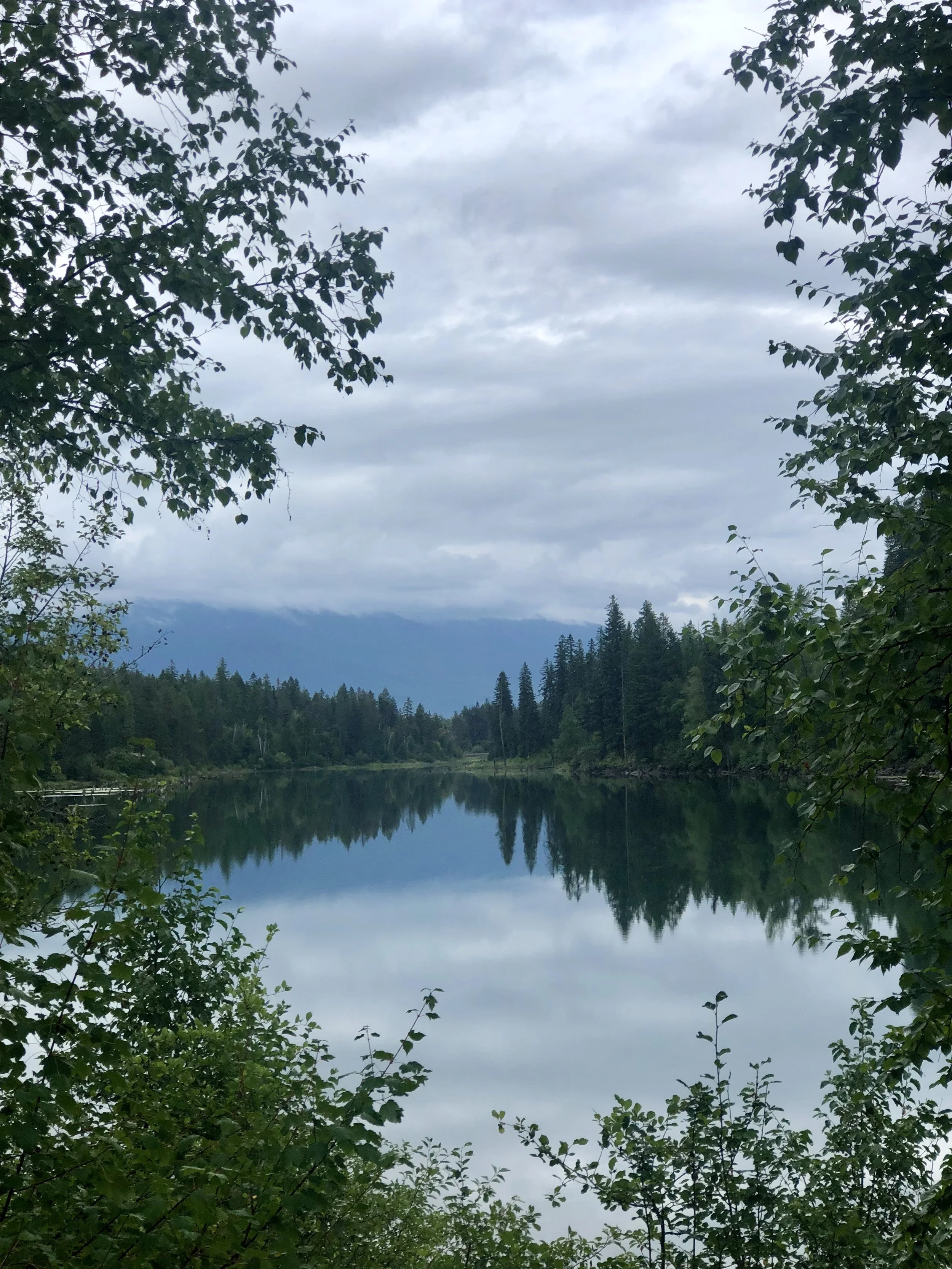 Calm lake surrounded by trees with overcast sky reflected in the water.