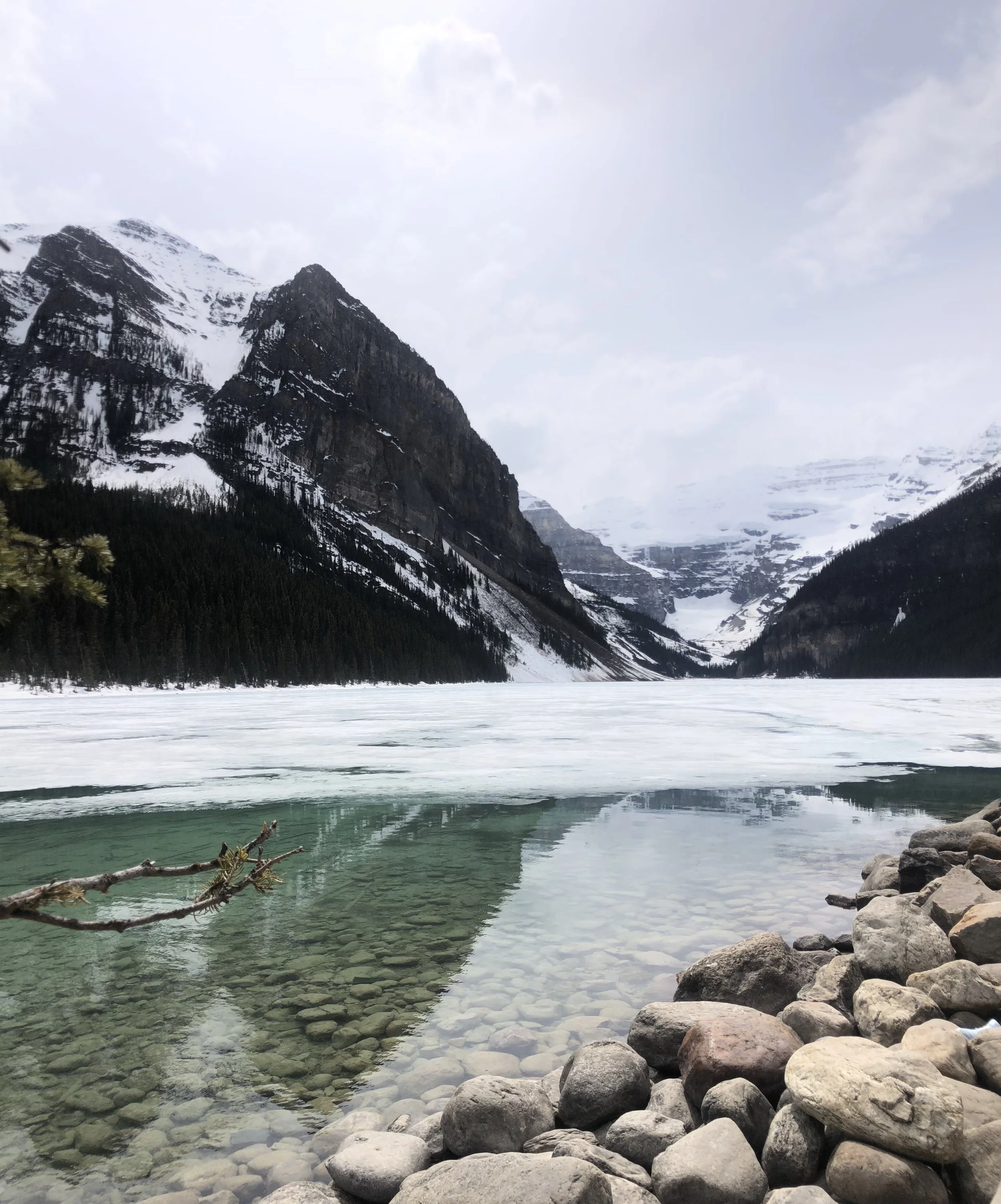Snow-capped mountains and pine trees reflected in a partially frozen lake with rocks along the shoreline.