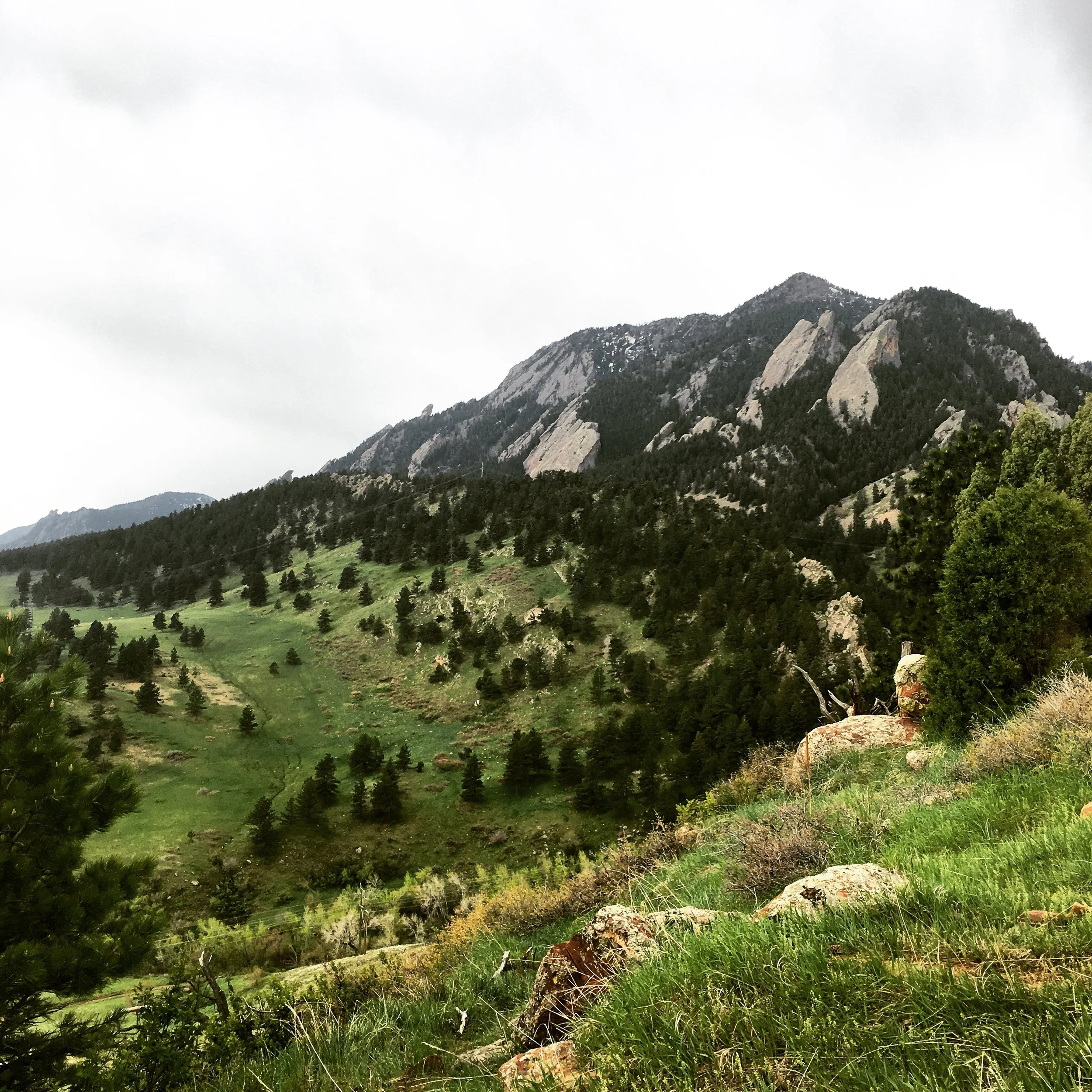 Landscape view of a mountain with rocky slopes, forested hillside, and grassy foreground with rocks and trees.