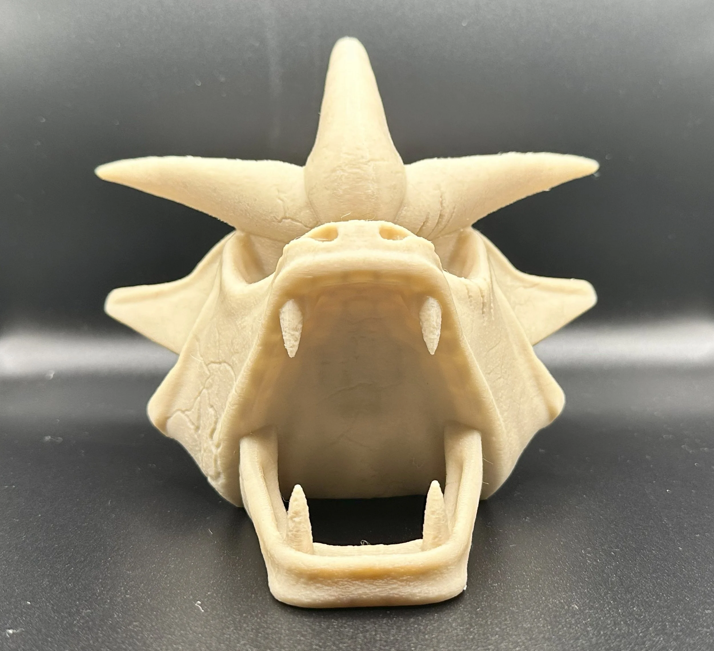 Pokemon Gyarados Skull