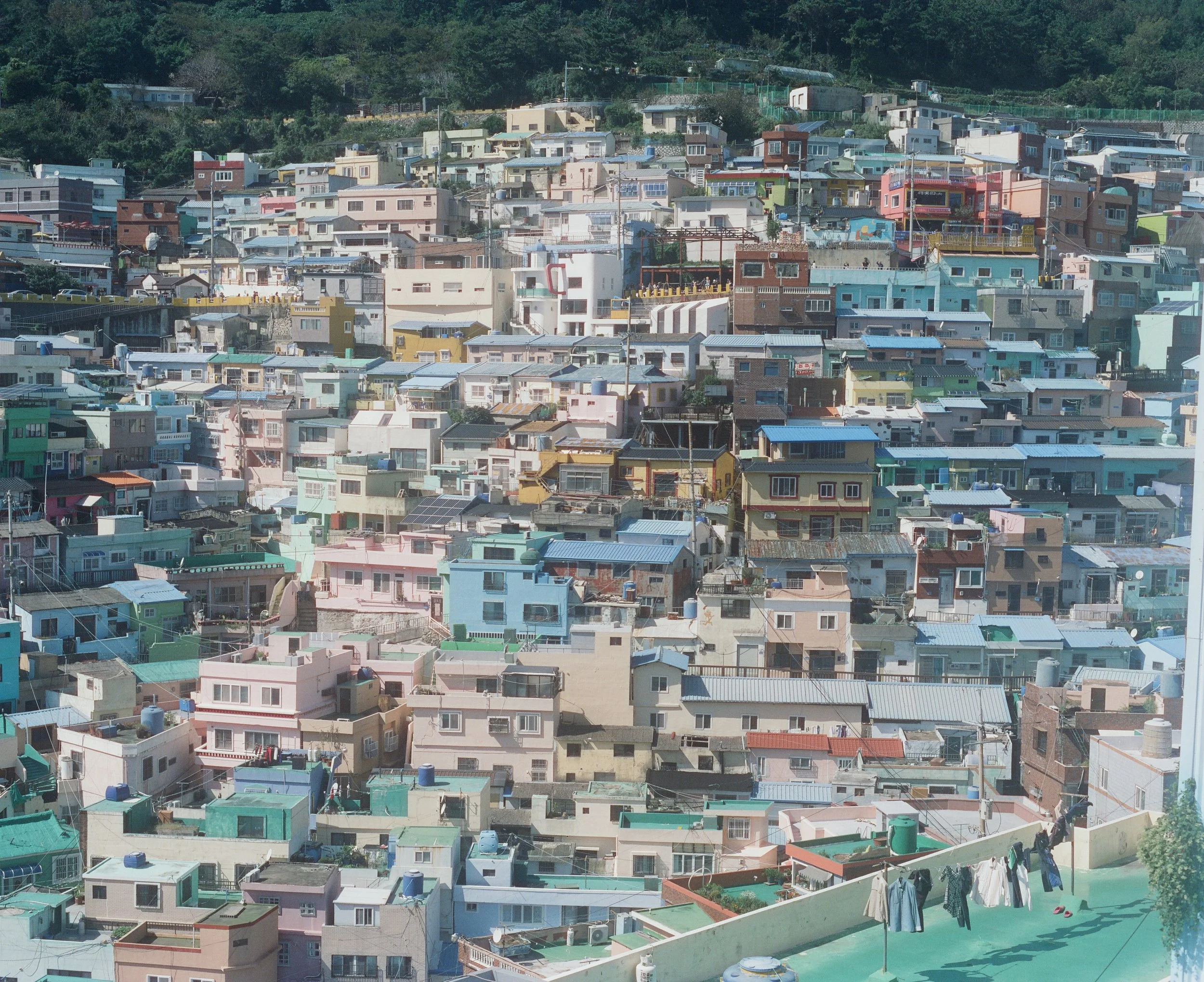 busan2.jpg