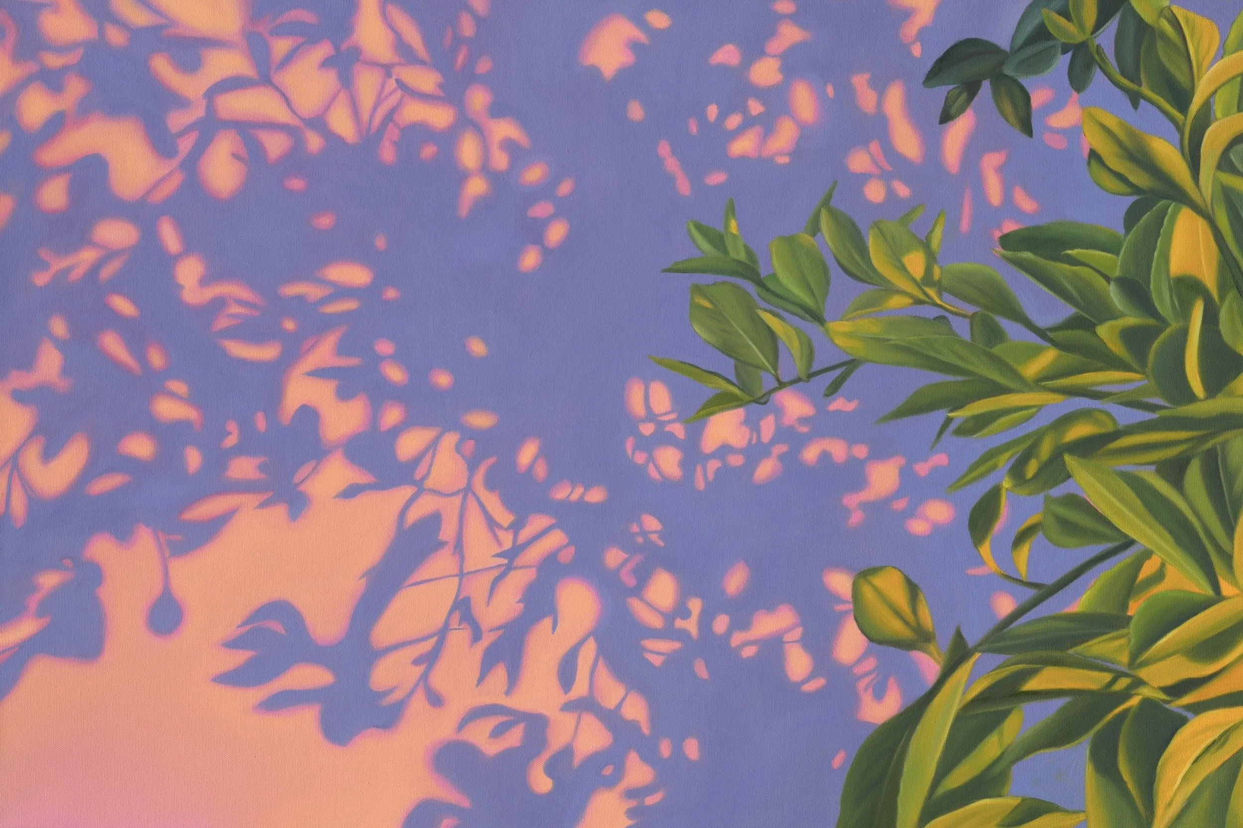 ‘Golden Hour’ Print
