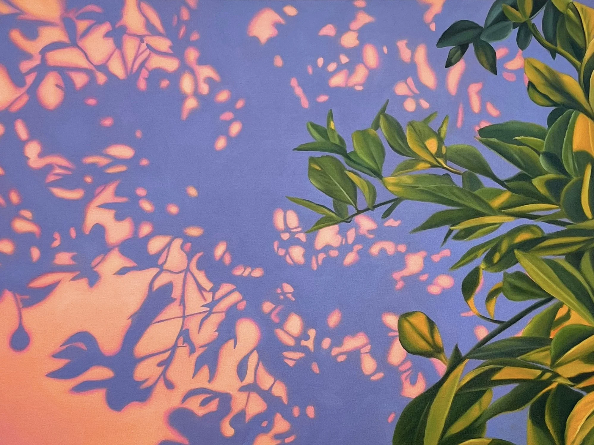 Golden Hour Print
