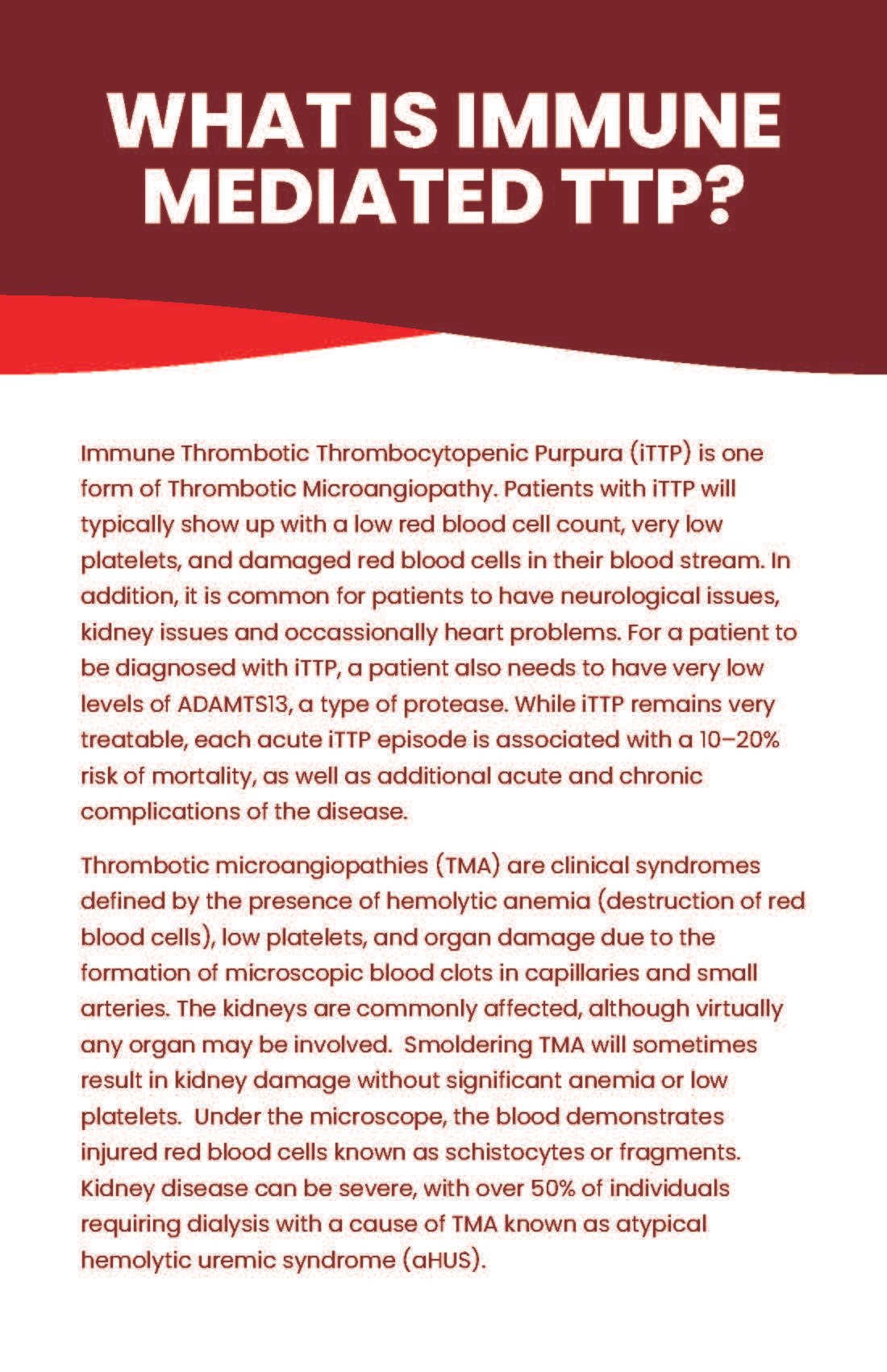 USTMA_iTTP Booklet_032324_Page_3.jpg