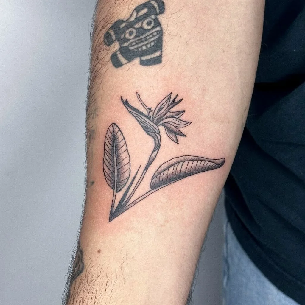 A bird of paradise for @ibiles 🪷 #birdofparadise #losangelestattooartist #tattooideas #flowertattoo