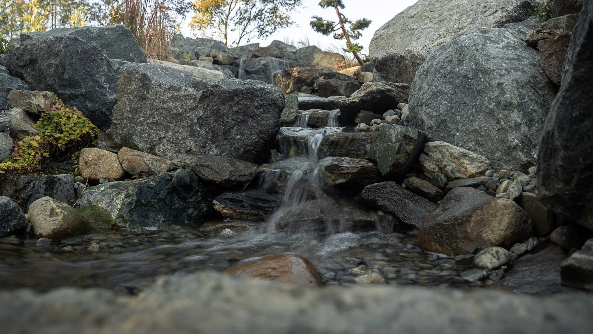 96ff4722f82f5f9313f745a14ff79863.jpg