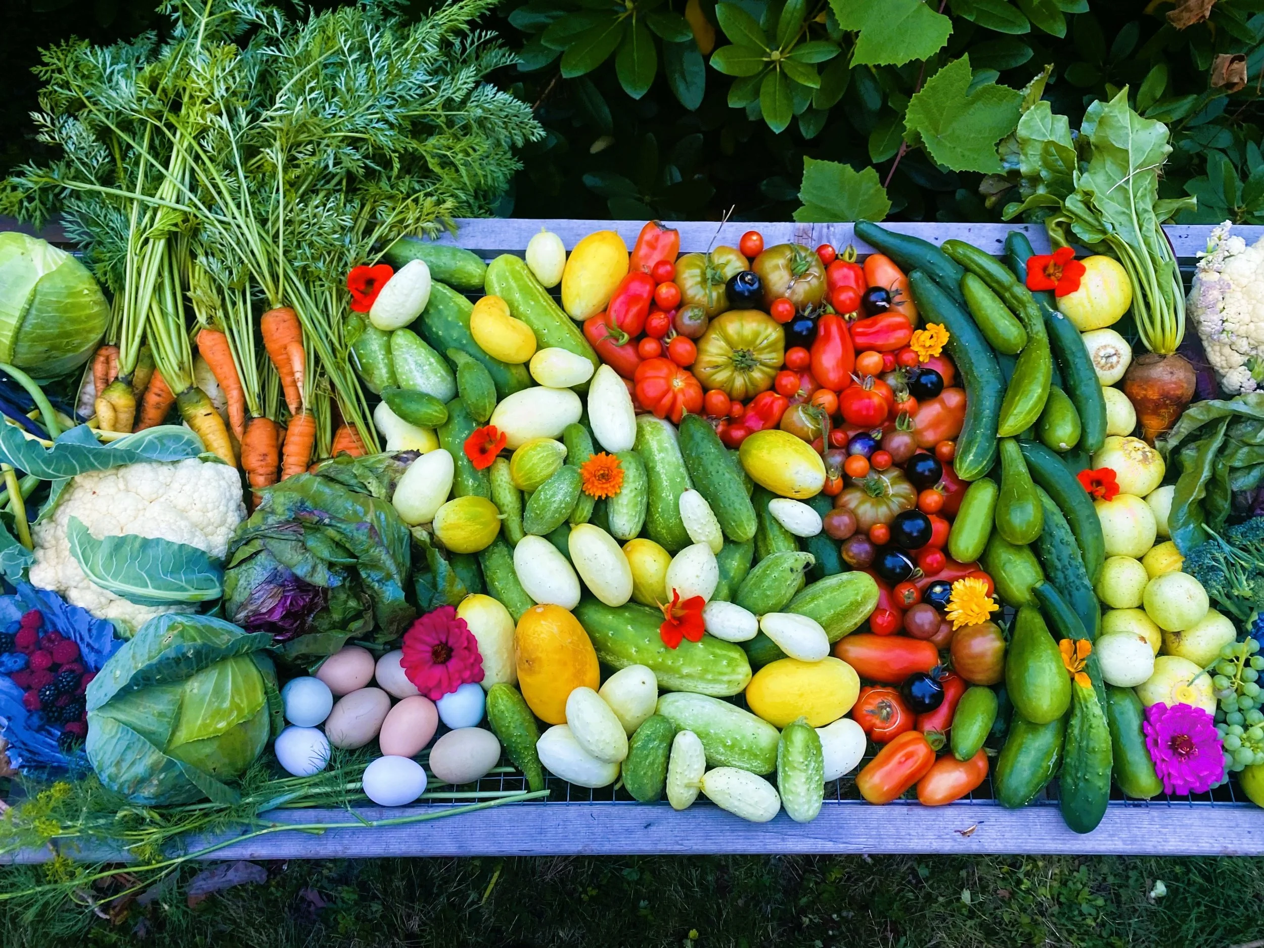 A variety of fresh vegetables and flowers arranged on a wooden table outdoors, including carrots, cauliflower, lettuce, cucumbers, tomatoes, zucchini, and edible flowers.