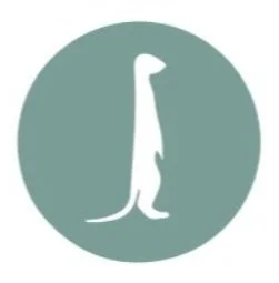 Screenshot 2024-08-23 at 10.58.15 AM.jpg