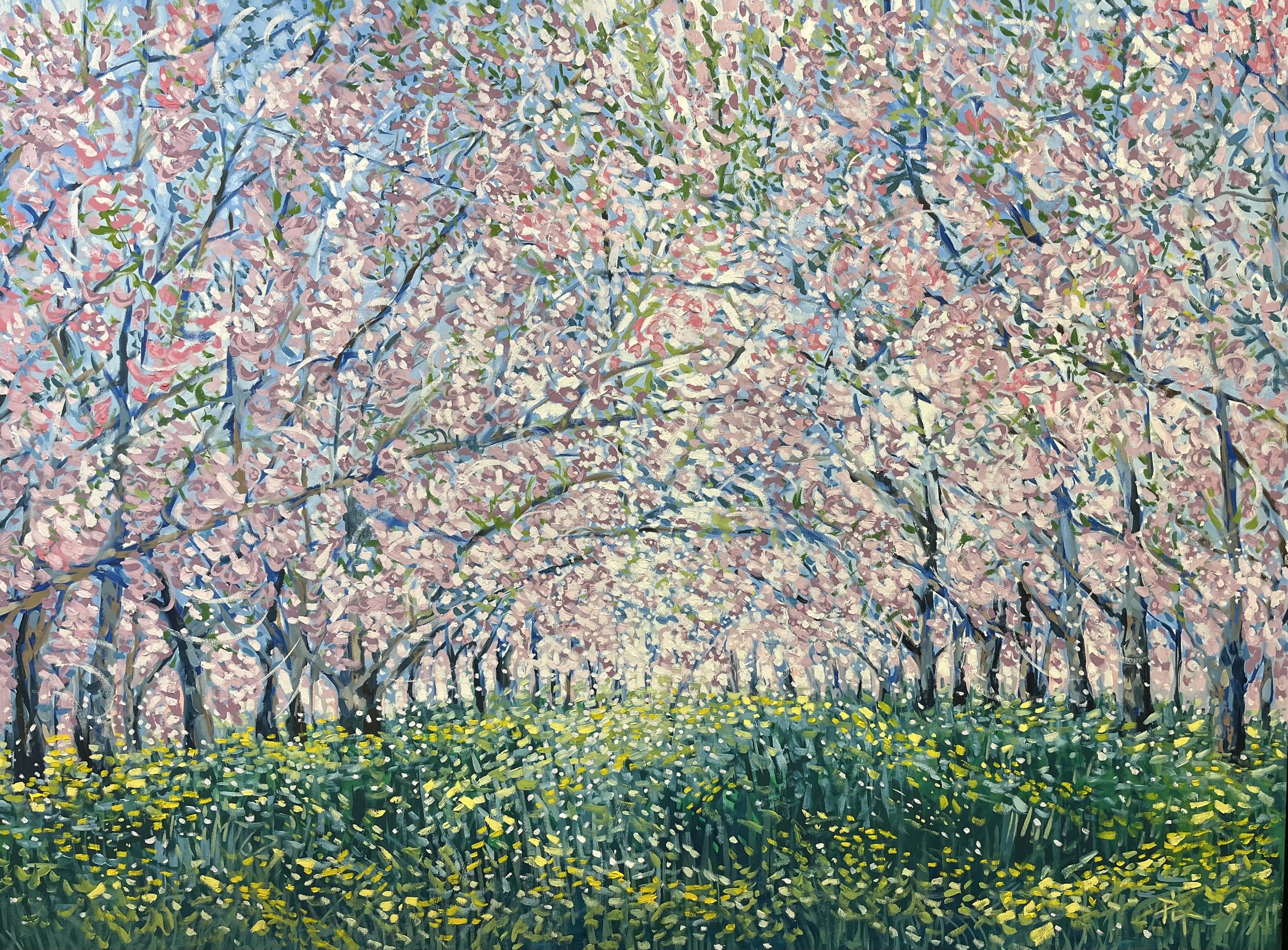 Cherry Blossoms, Traverse City, Michigan; OiI, 36″x 48″, $2,600
