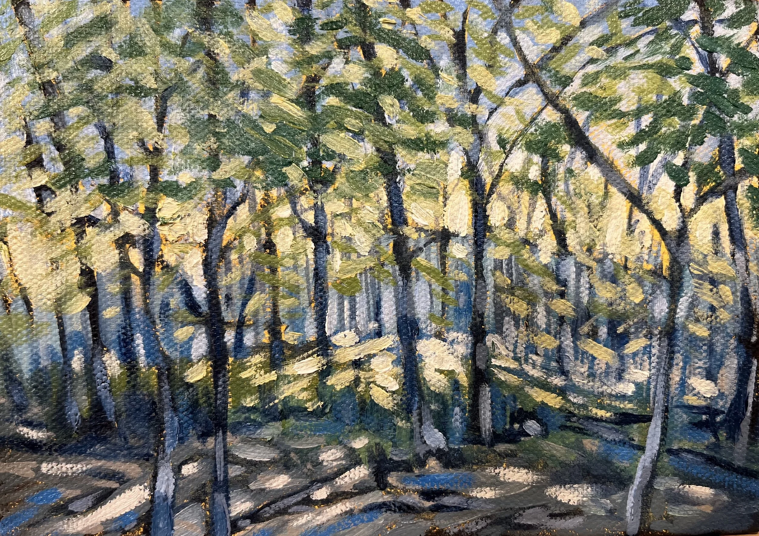 Woods  in Morning; Granville, Ohio; Oil, 5″x 7", $55
