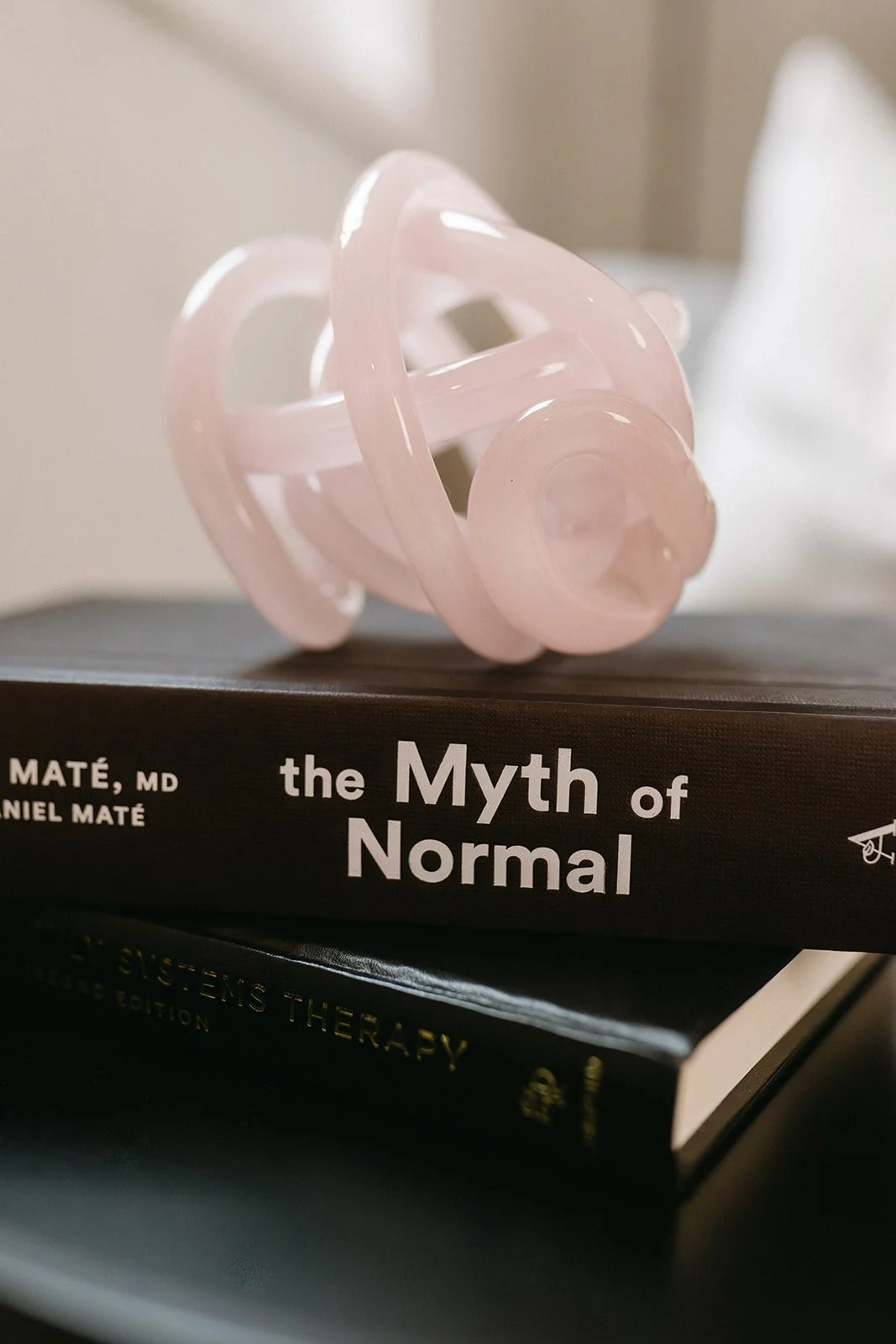 A pink glass sculpture resting on top of two stacked books, one titled 'The Myth of Normal' and the other 'The Queen's Therapies'.
