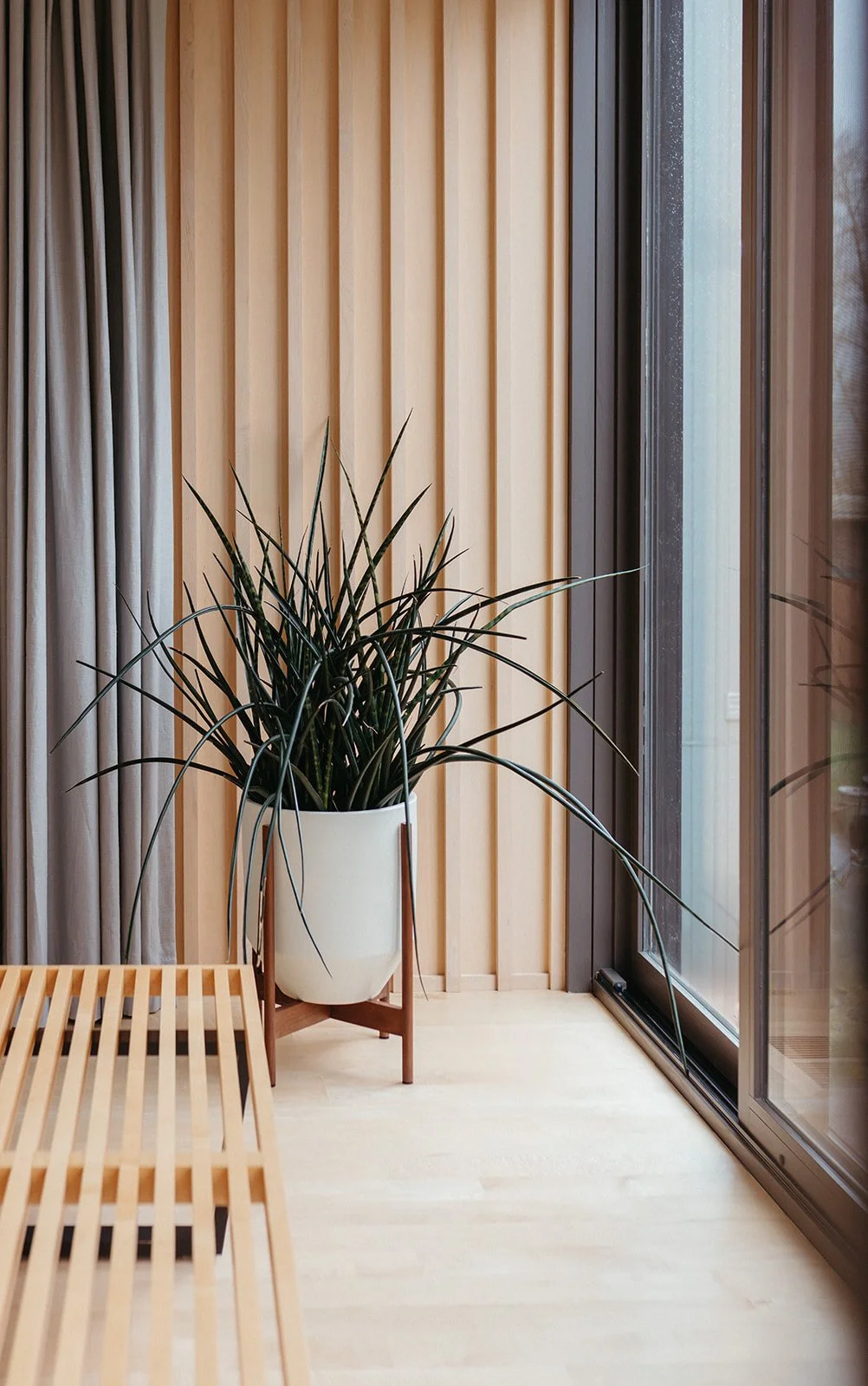 Interior with wooden wall, large potted plant, and sliding glass door.