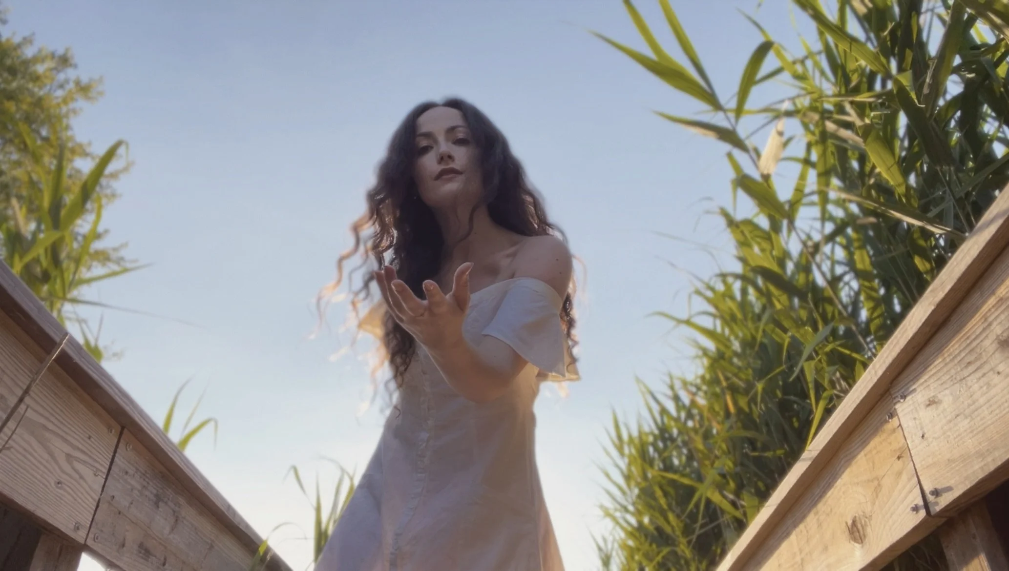 The Madelyn Monaghan Trio: An Evening of Celtic Music 