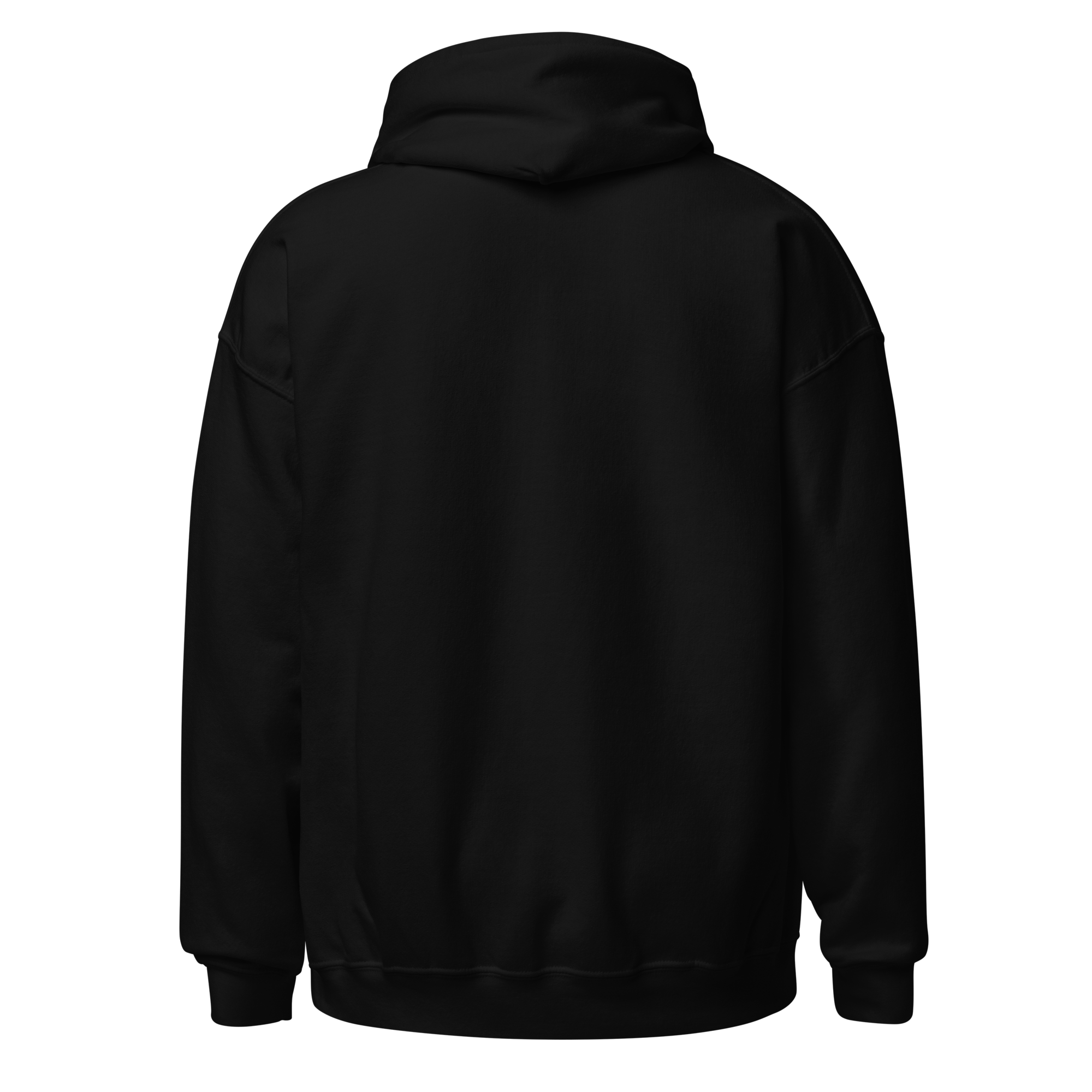 unisex-heavy-blend-hoodie-black-back-674a10d5026f6.png