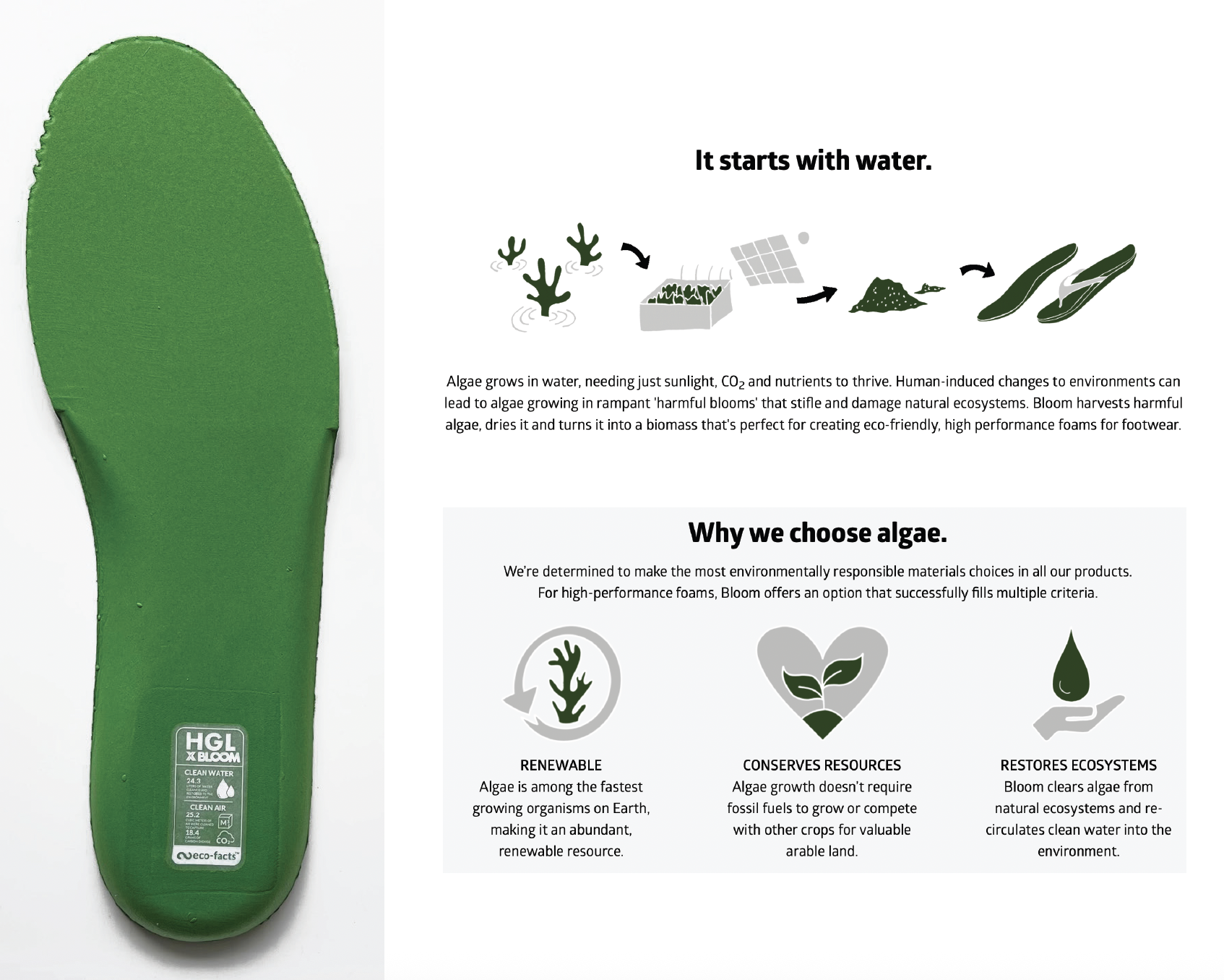 Green foam shoe insole with informational graphic about algae-based materials for eco-friendly footwear manufacturing, including steps from water-grown algae to final product.